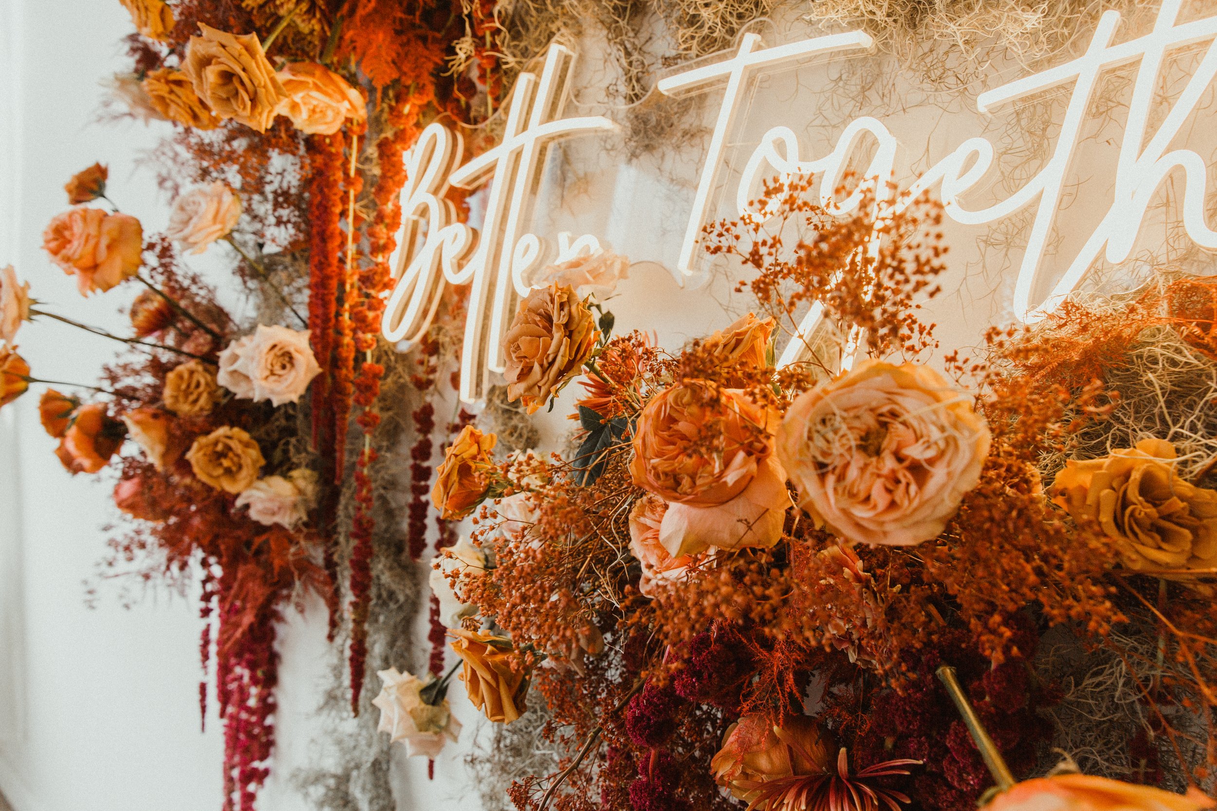 DPCstyledshoot_amylacyphotography-20.jpg