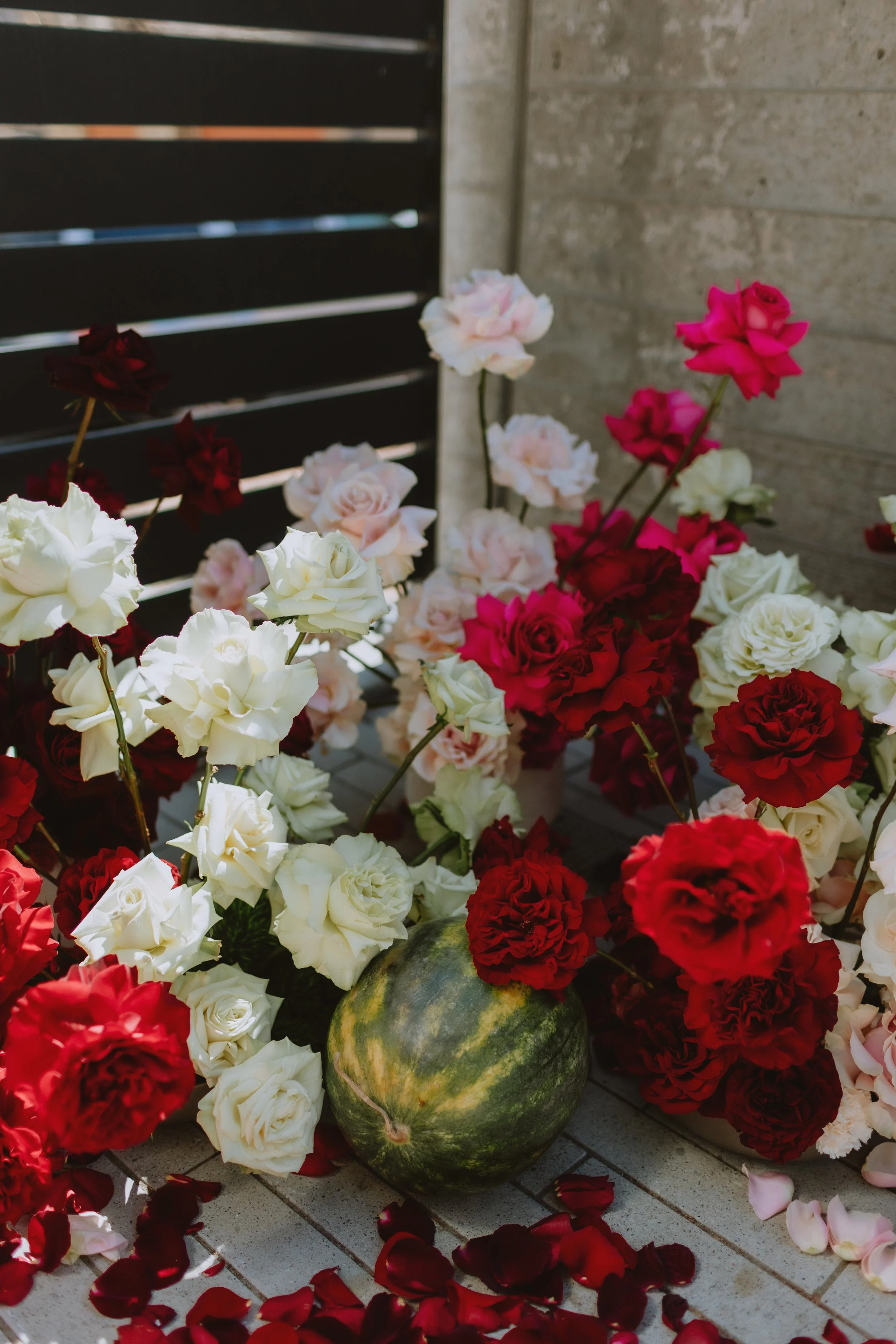 LaurenFinchPhotography-32.jpg