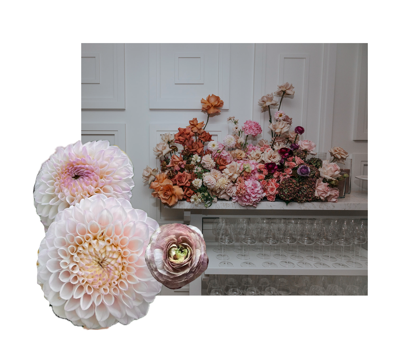 dahlia soiree darling