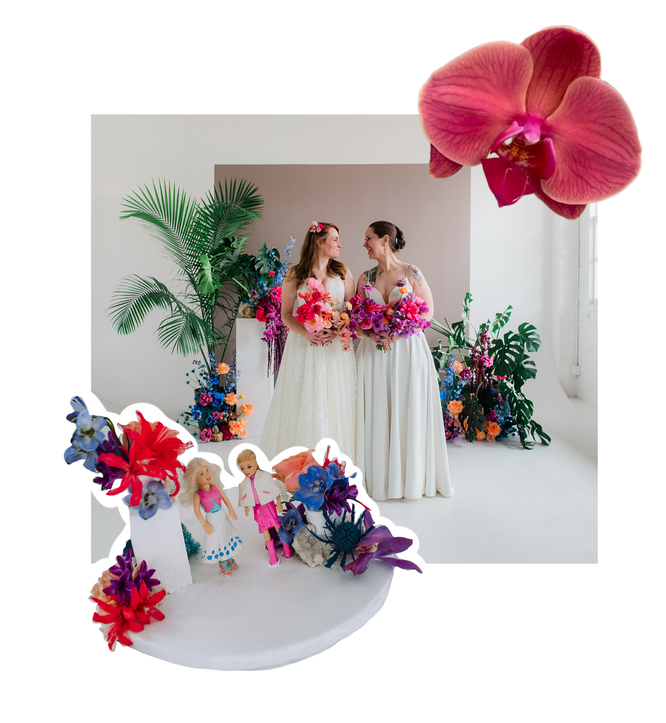 extra-orchid-nary