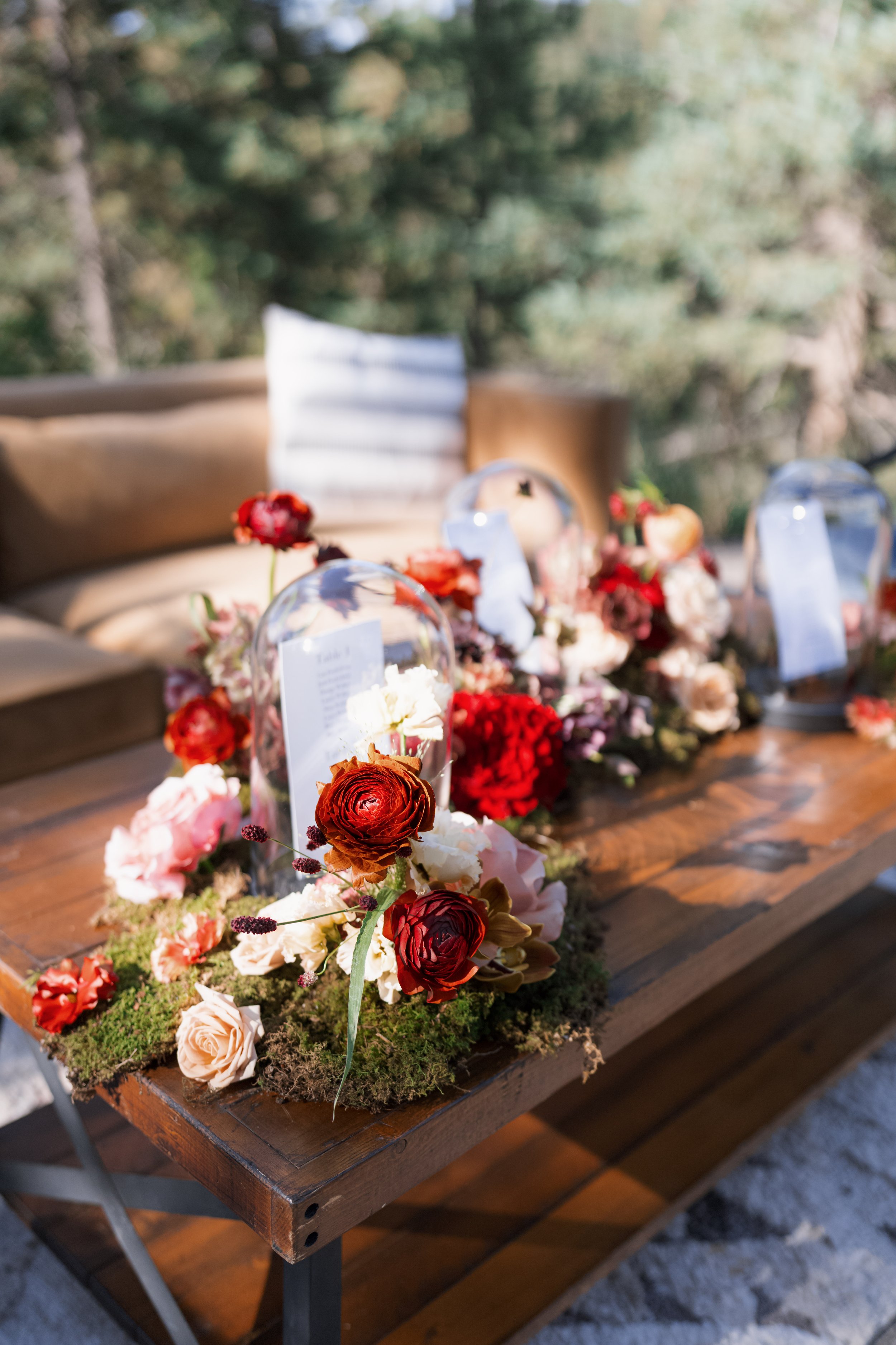 CL+C Wedding-323.jpg