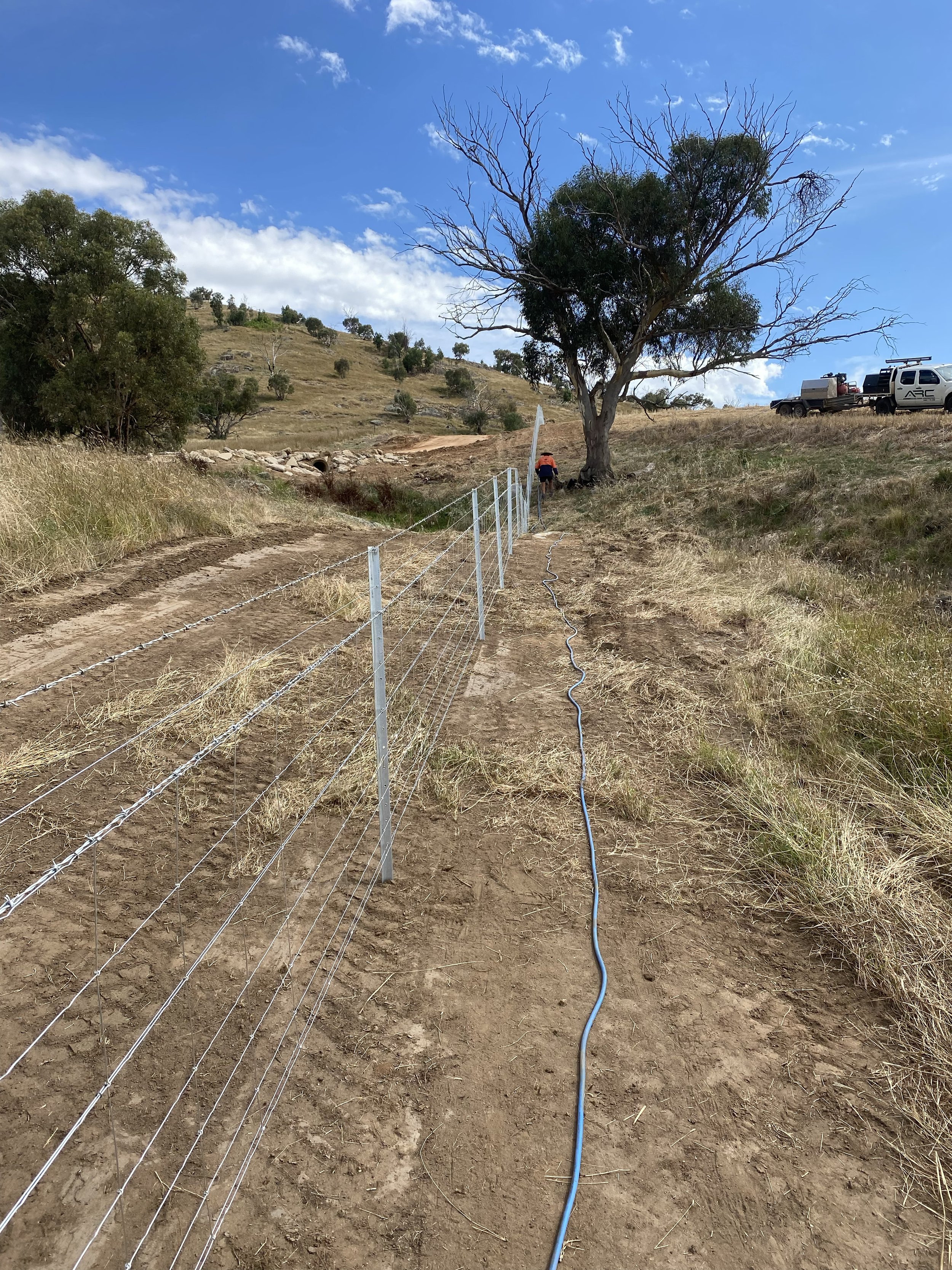 66605582175__40C80729-9A10-412C-95F0-C97F95F5C785 copy.jpg