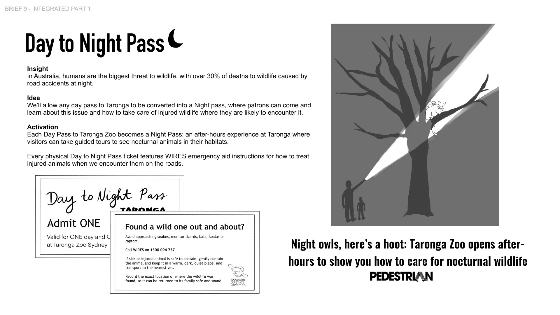 1/2 ‘Every ticket to Taronga Zoo helps animals in the wild’