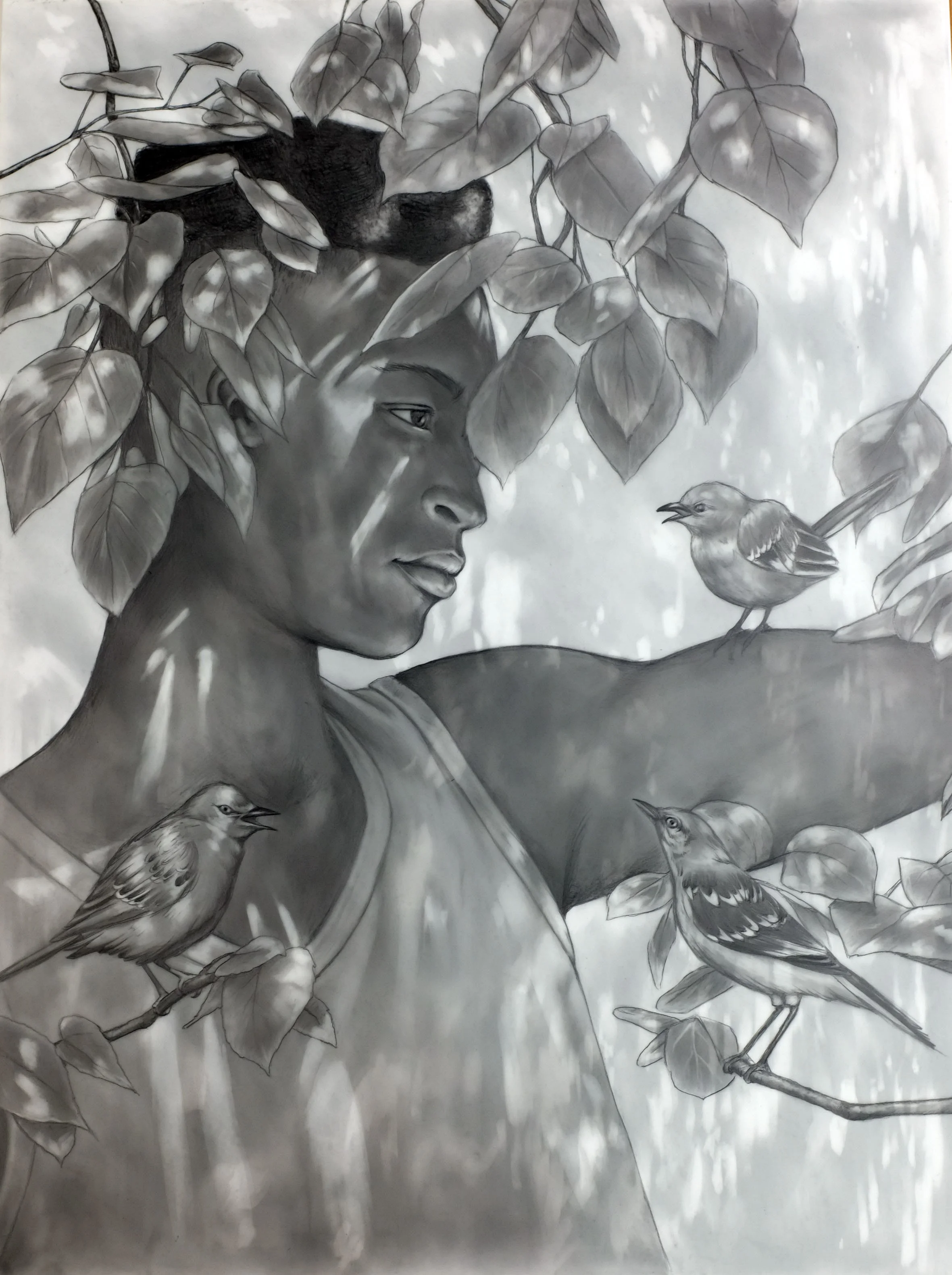 Sparrow, Graphite on Drafting Film, 24x18in. 2024