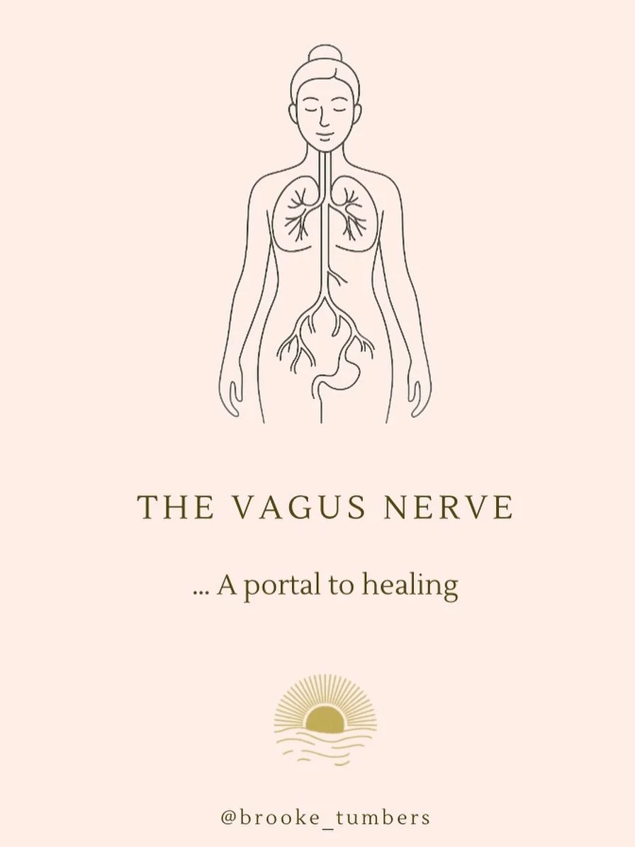 The vagus nerve is one of the ten cranial nerves that branches out from the brain. It acts as a motorway carrying information between the brain and the body.

It travels through the body, connecting with the heart, lungs and digestive system. Through