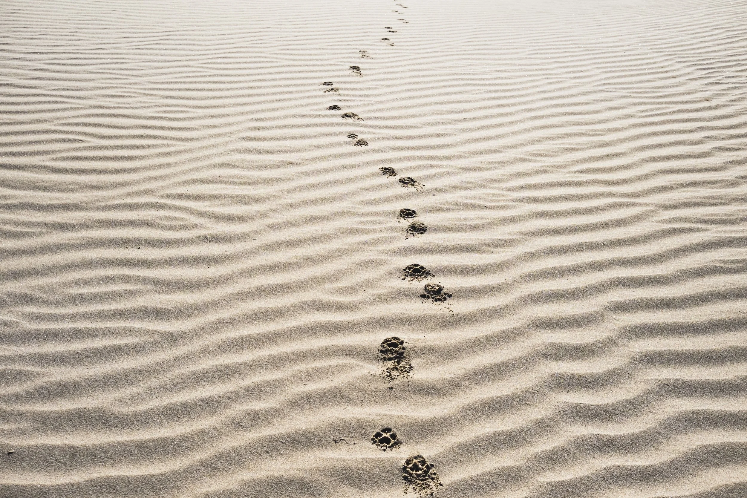 unsplash-image-TW62wXQ6Omc.jpg