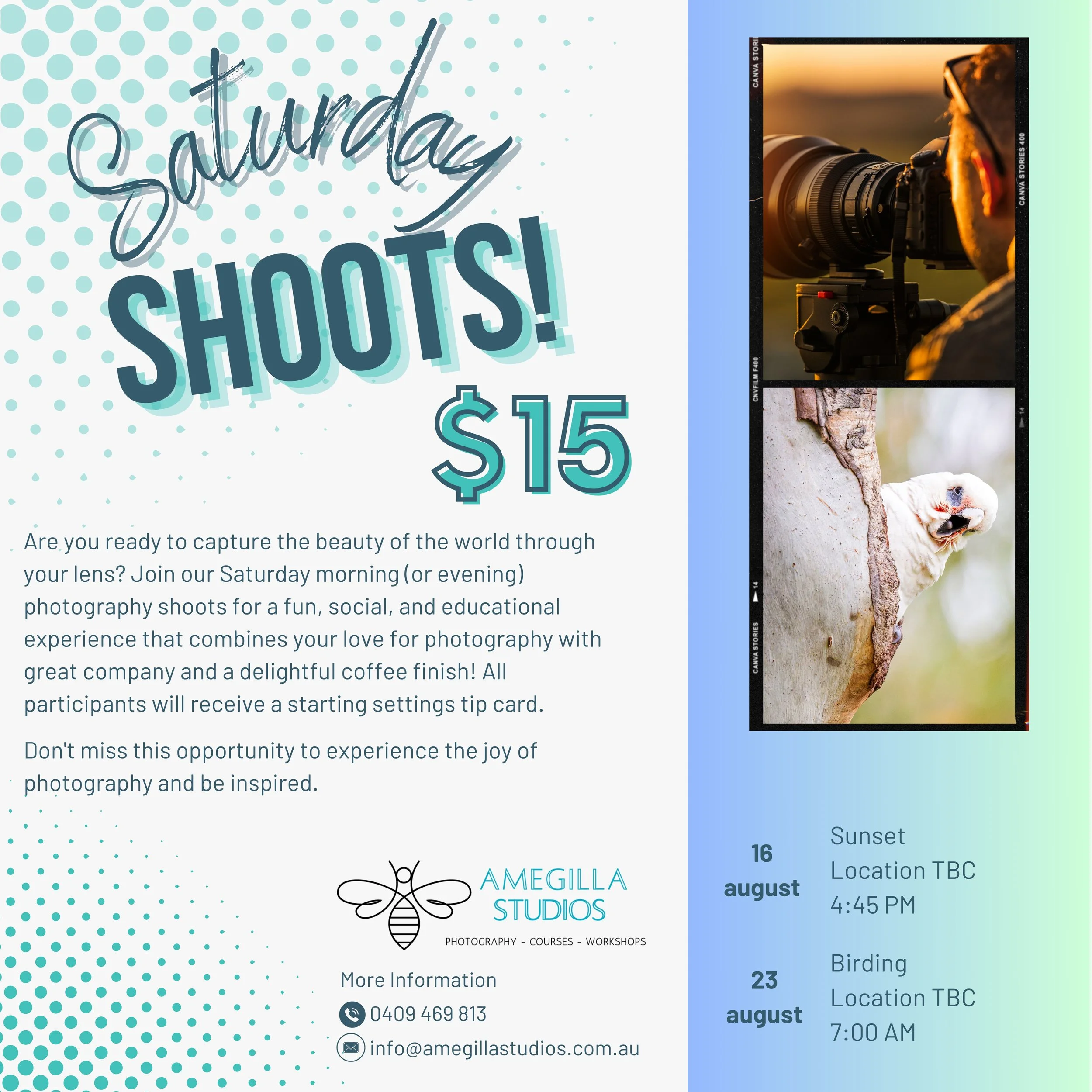 Saturday Shoots