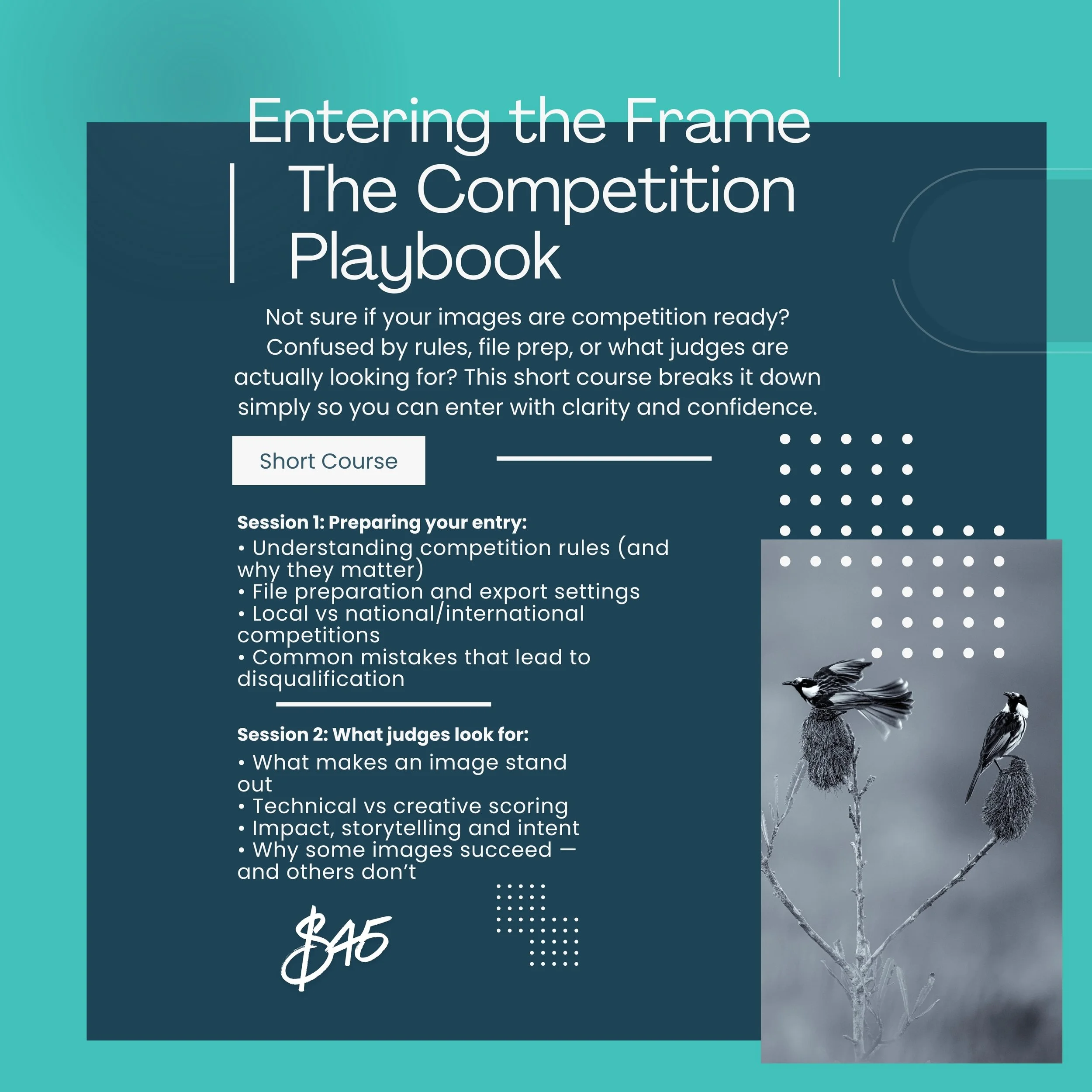 Brown Creative Photography Contest Flyer  (1000 x 1000 px).jpg