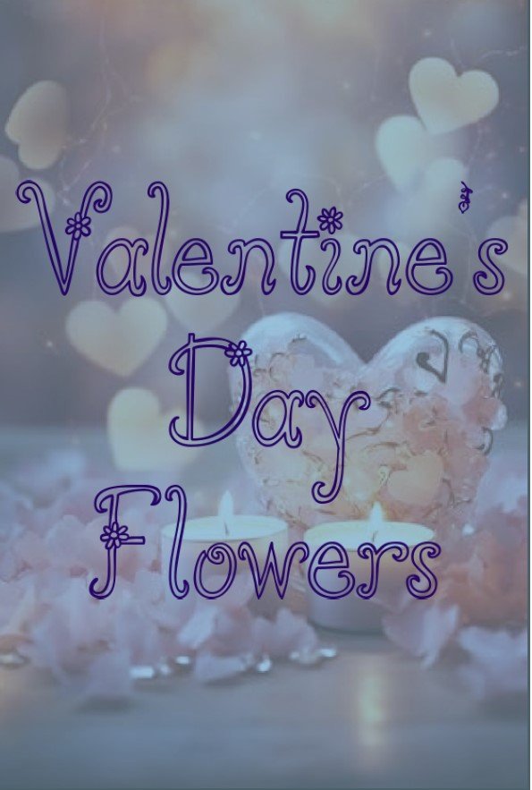 Valentine’s Day flowers /AITEA