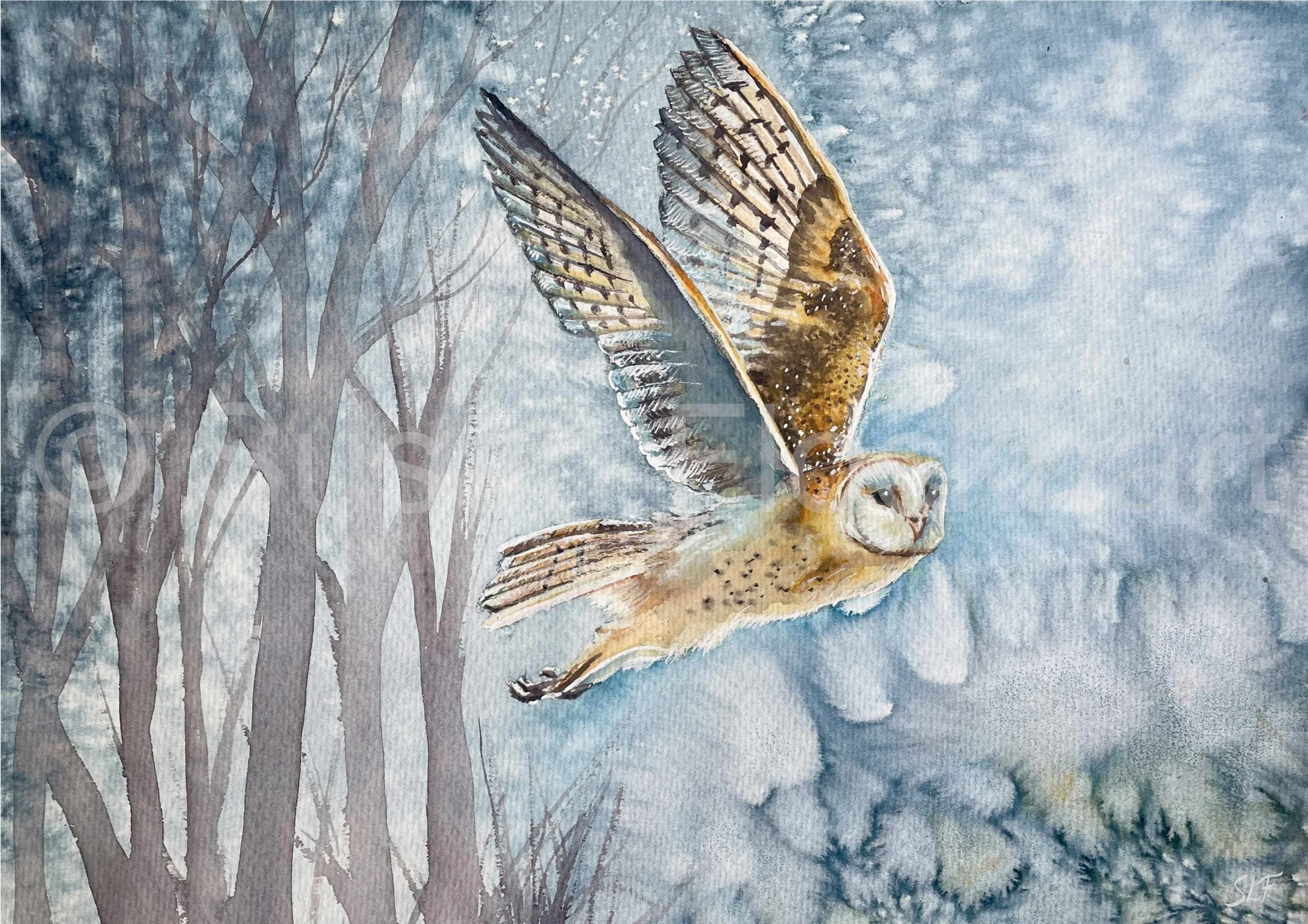 'Flying Barn Owl' - For Sale (click to open)