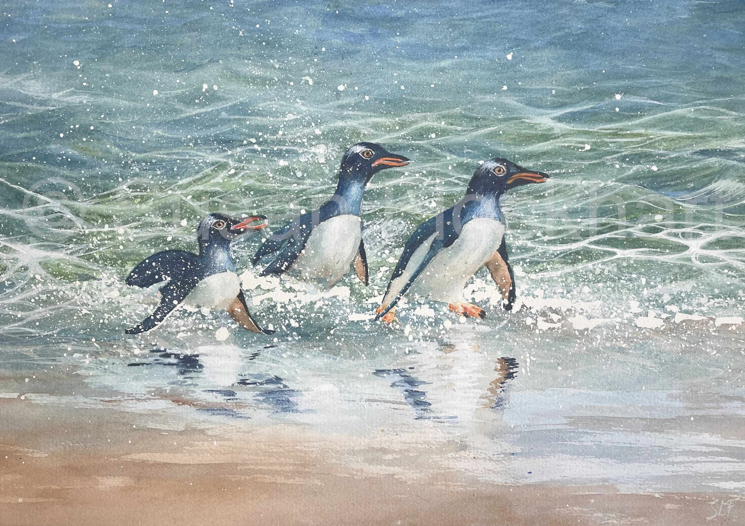 'Summer Penguins'  - For Sale (click to open)