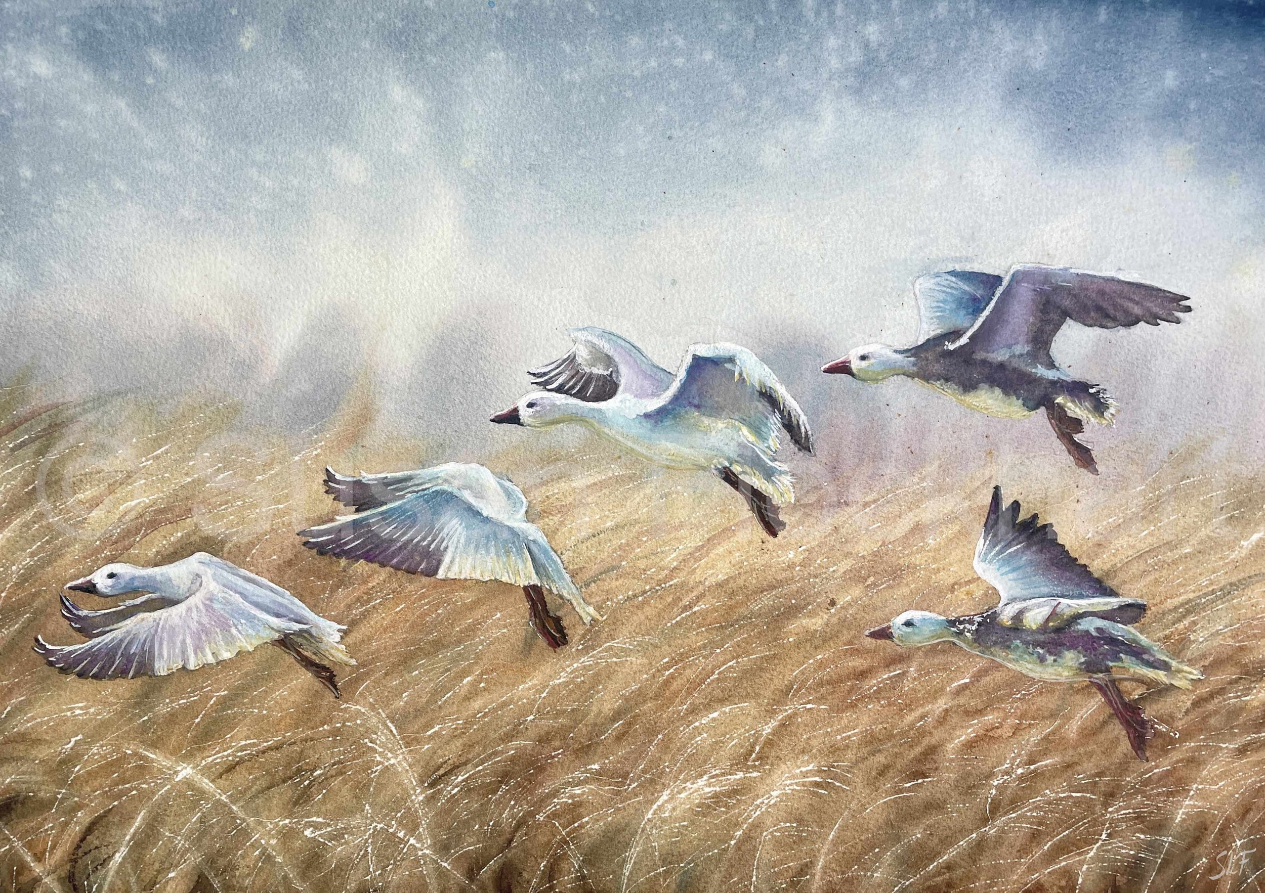 'Flying Geese' (SOLD)