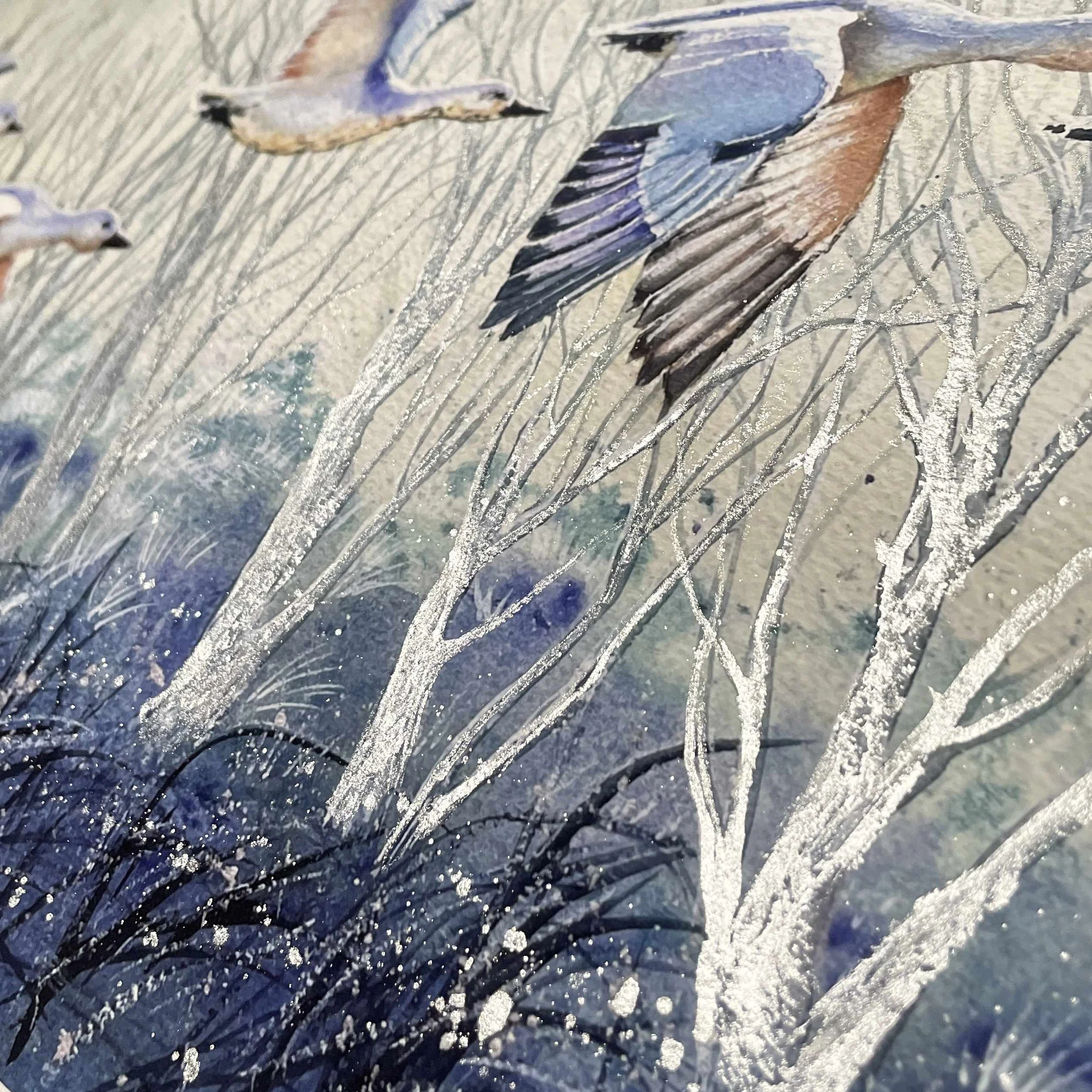 Winter Geese4.jpg
