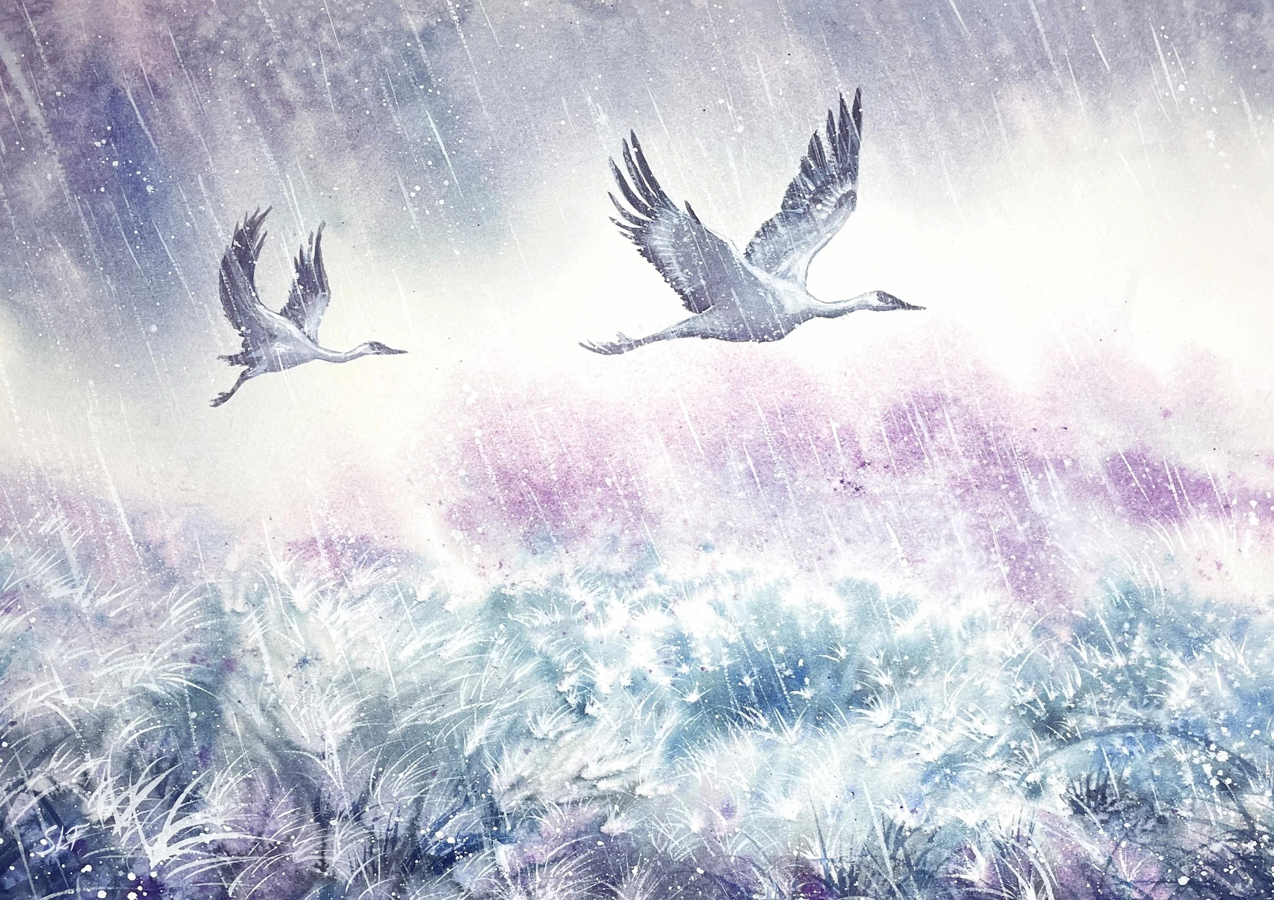 Rainfall with Cranes.jpg