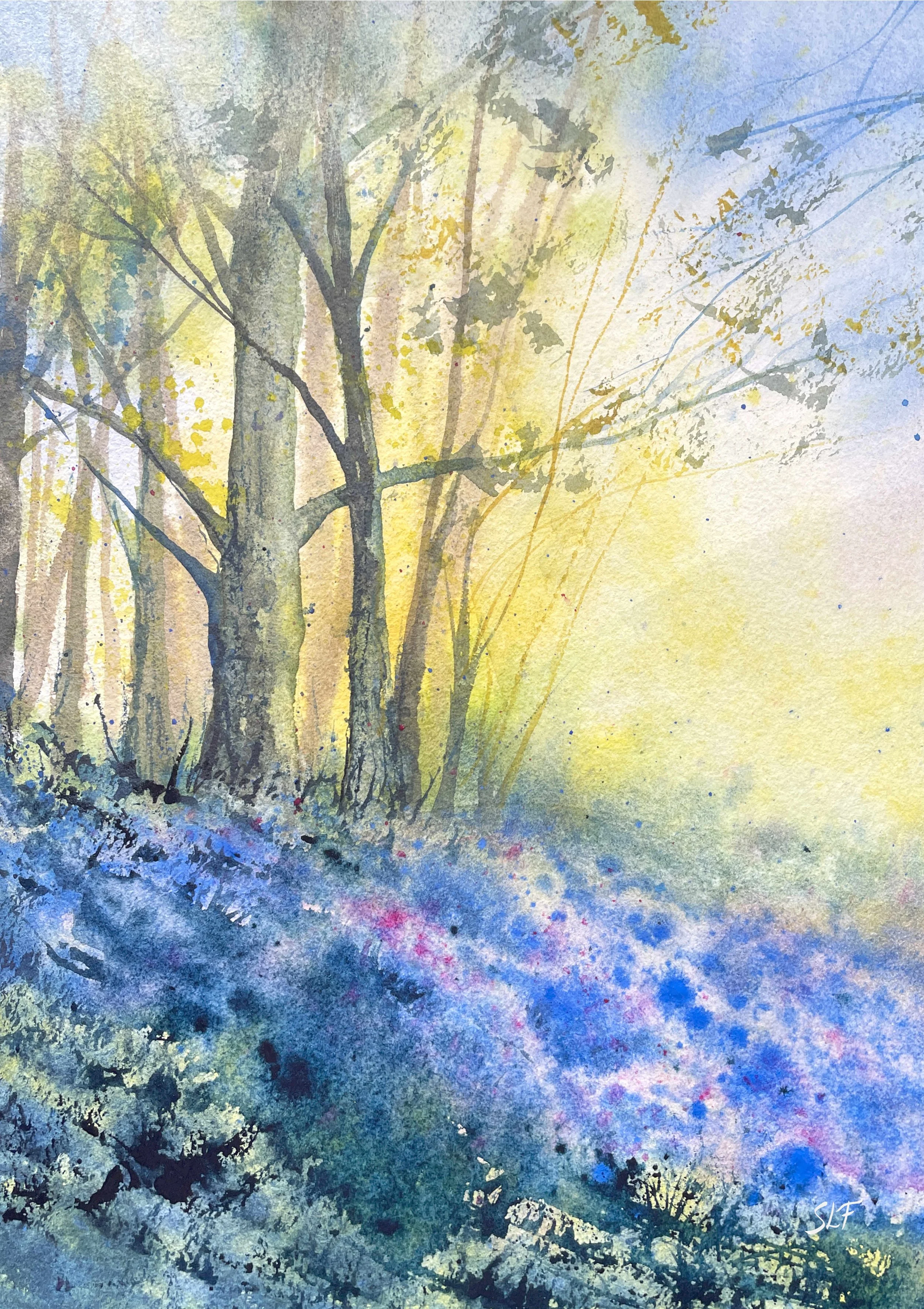'Spring Woodland' - Click to buy prints