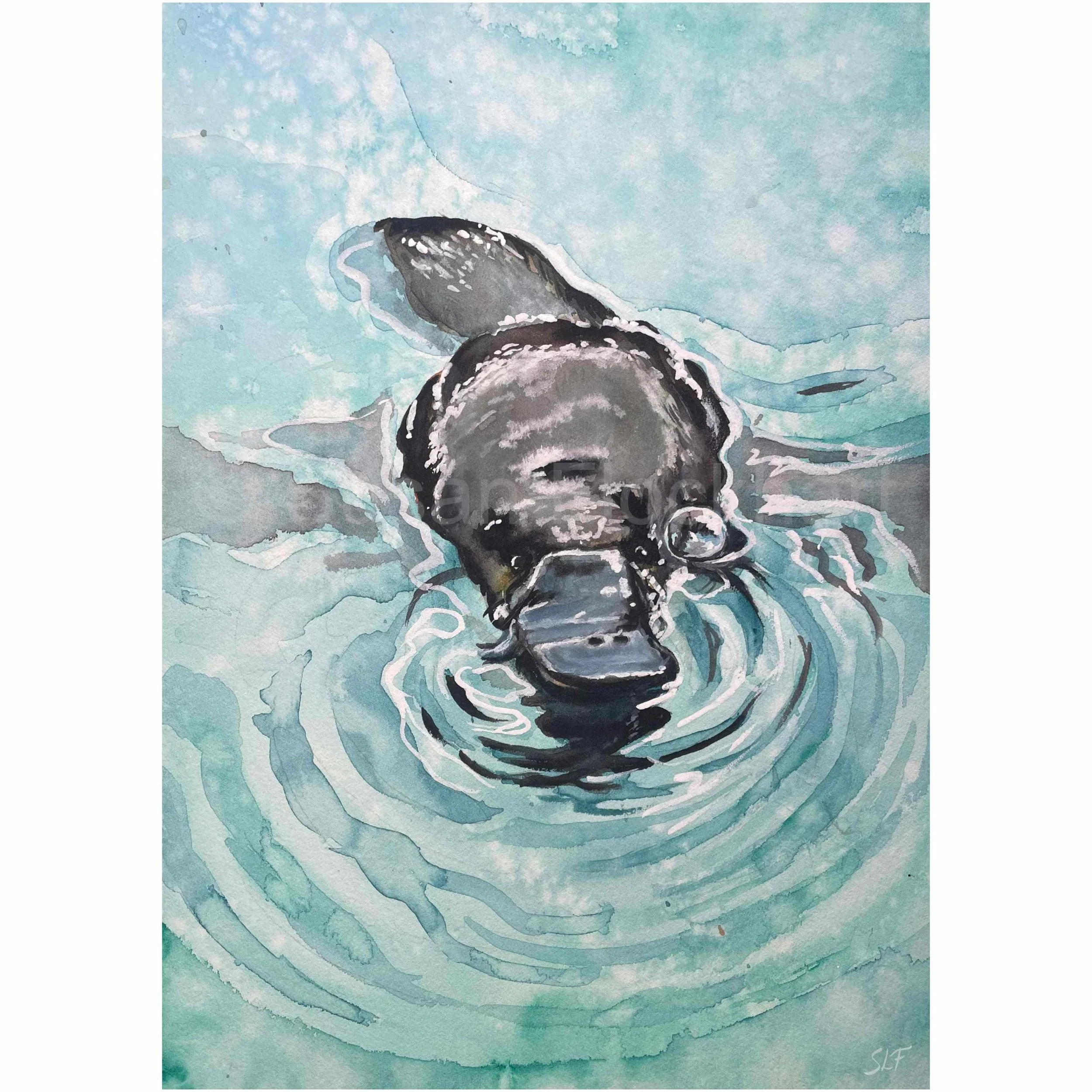 'Platypus' - For Sale - (click to open)