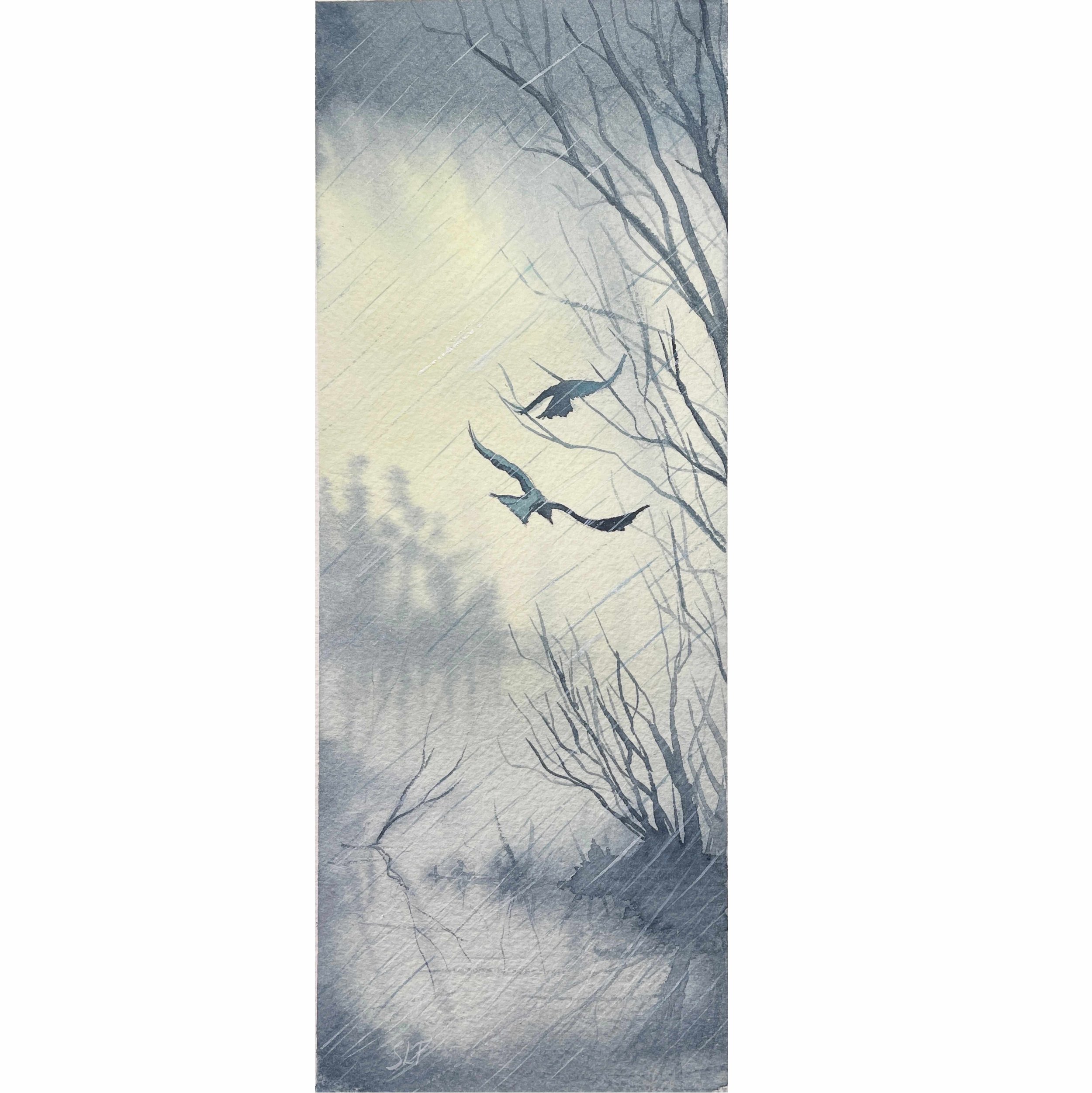 'Rainfall' (not for sale)