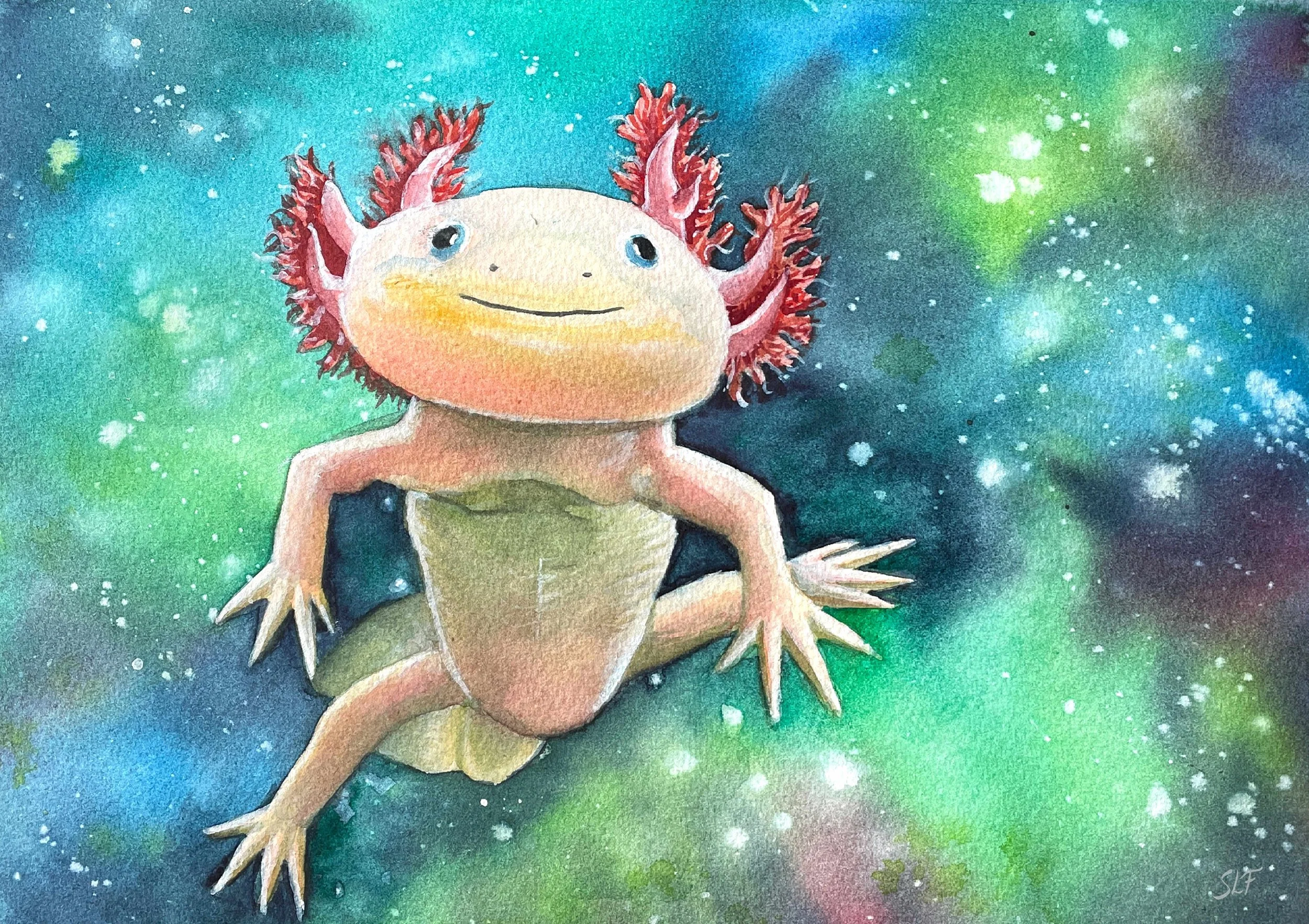 'Space Axolotl' (click to buy prints)