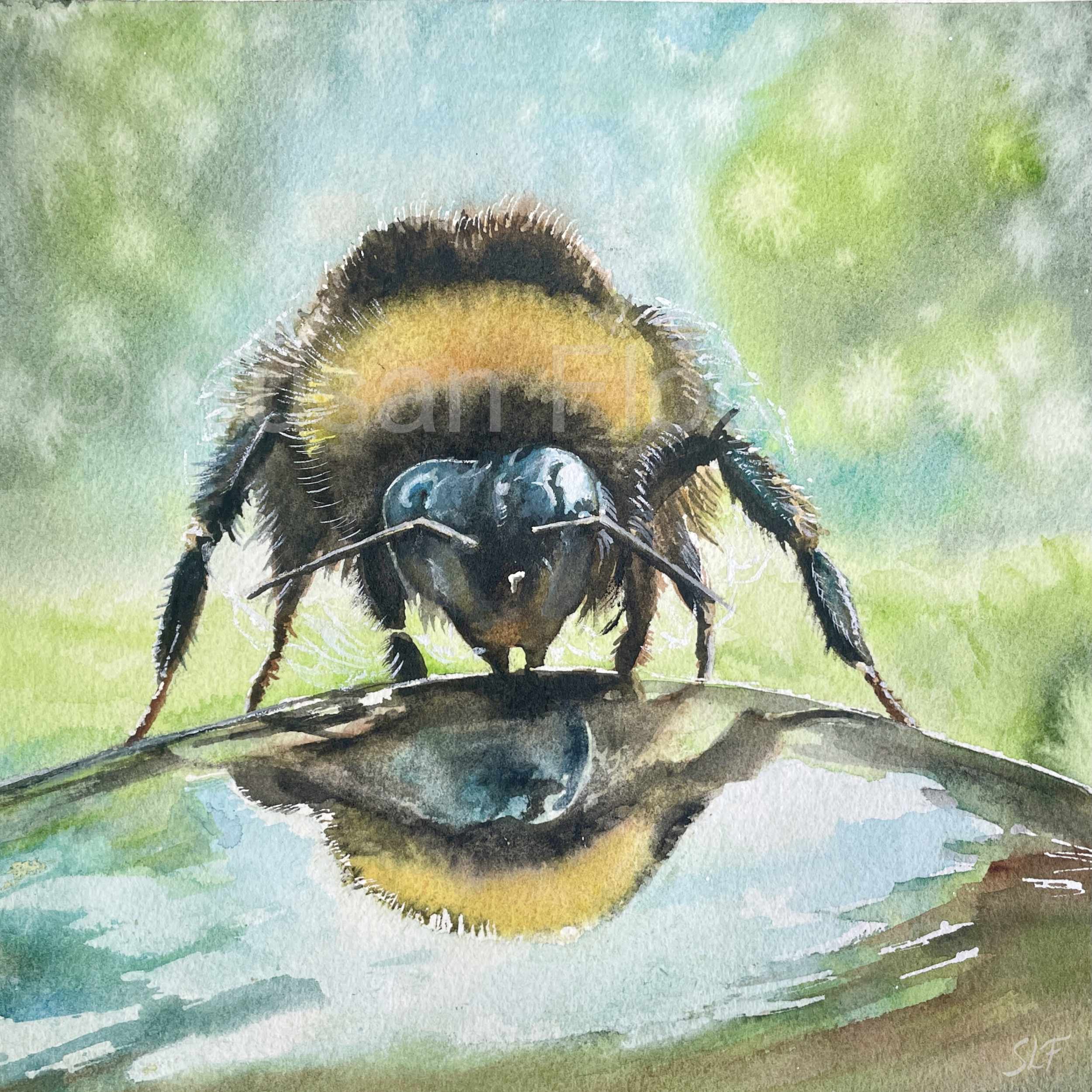 Bumblebee Rescue.jpg