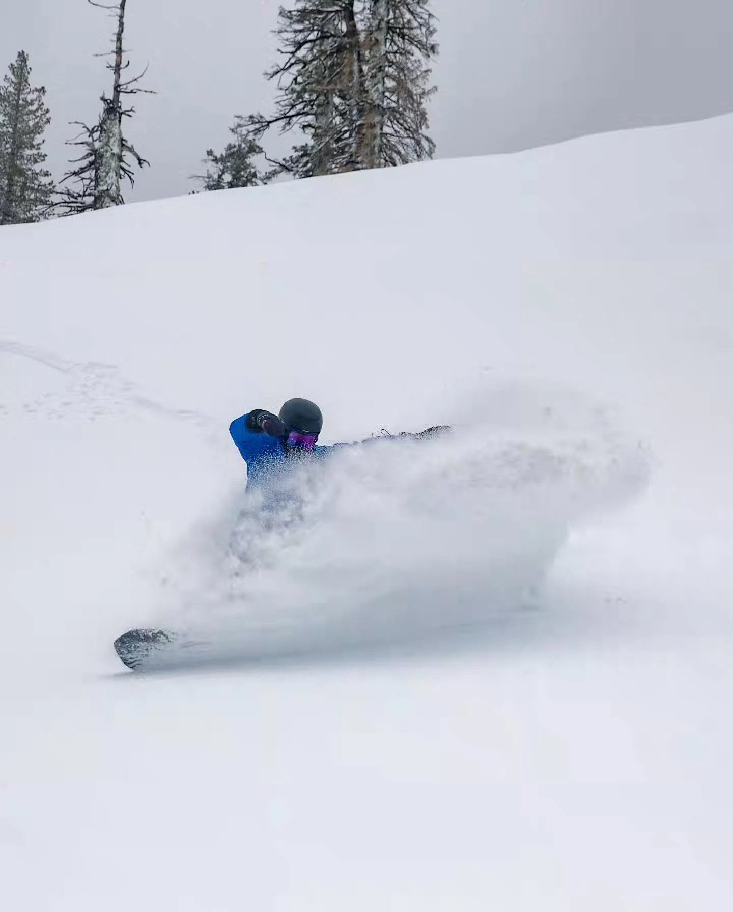 Local legend Coach @anna_sandbergg throwing some pow around last spring. #skiphotography