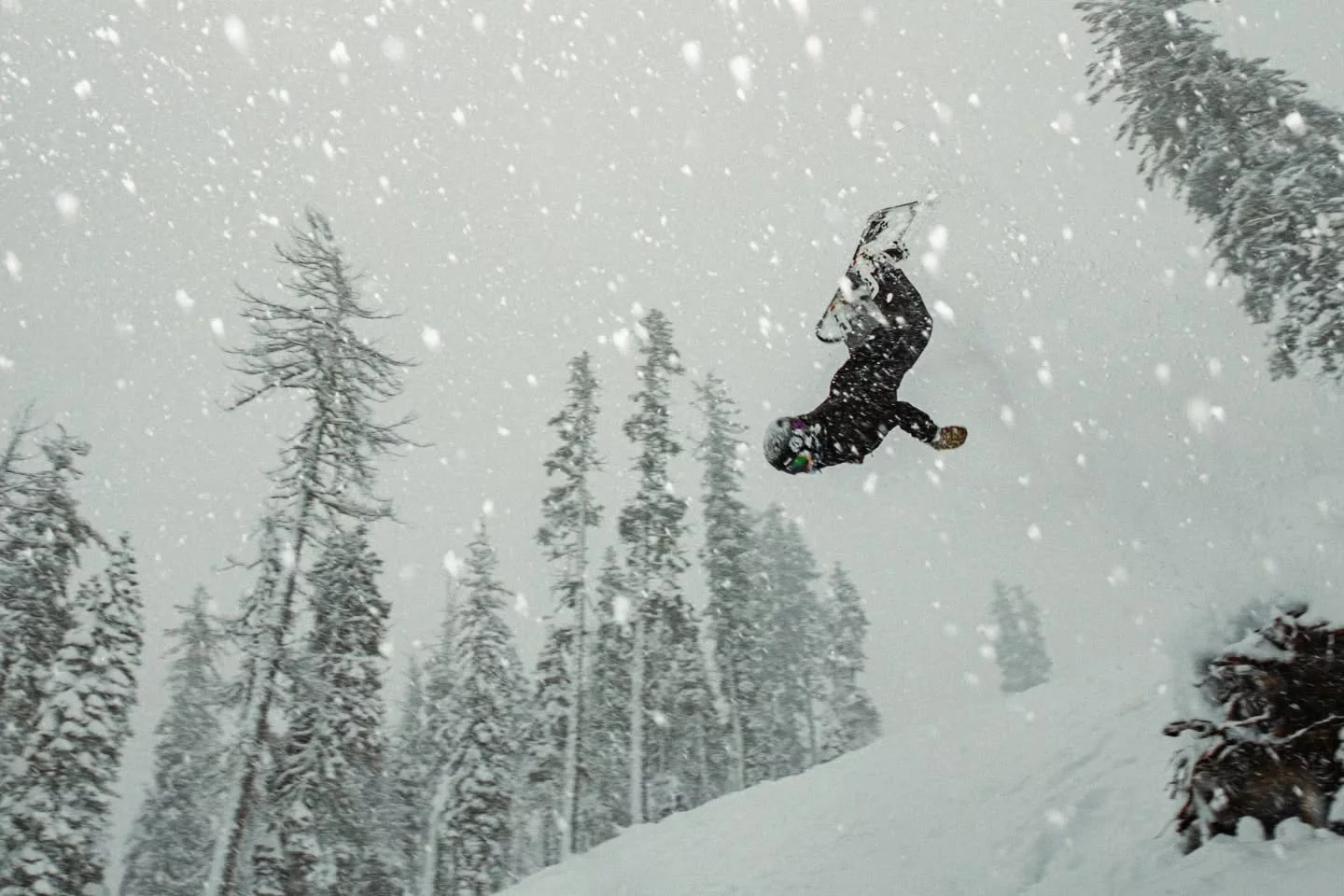 Storm day skiing is the best day skiing