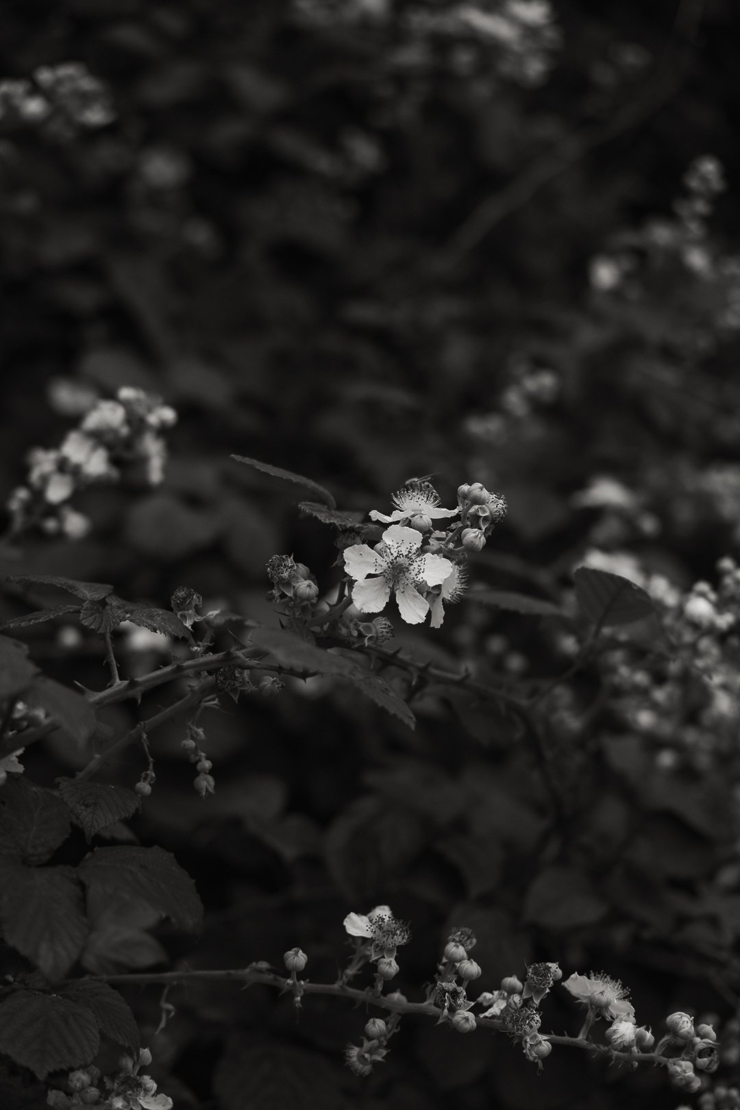 untitled-140.jpg