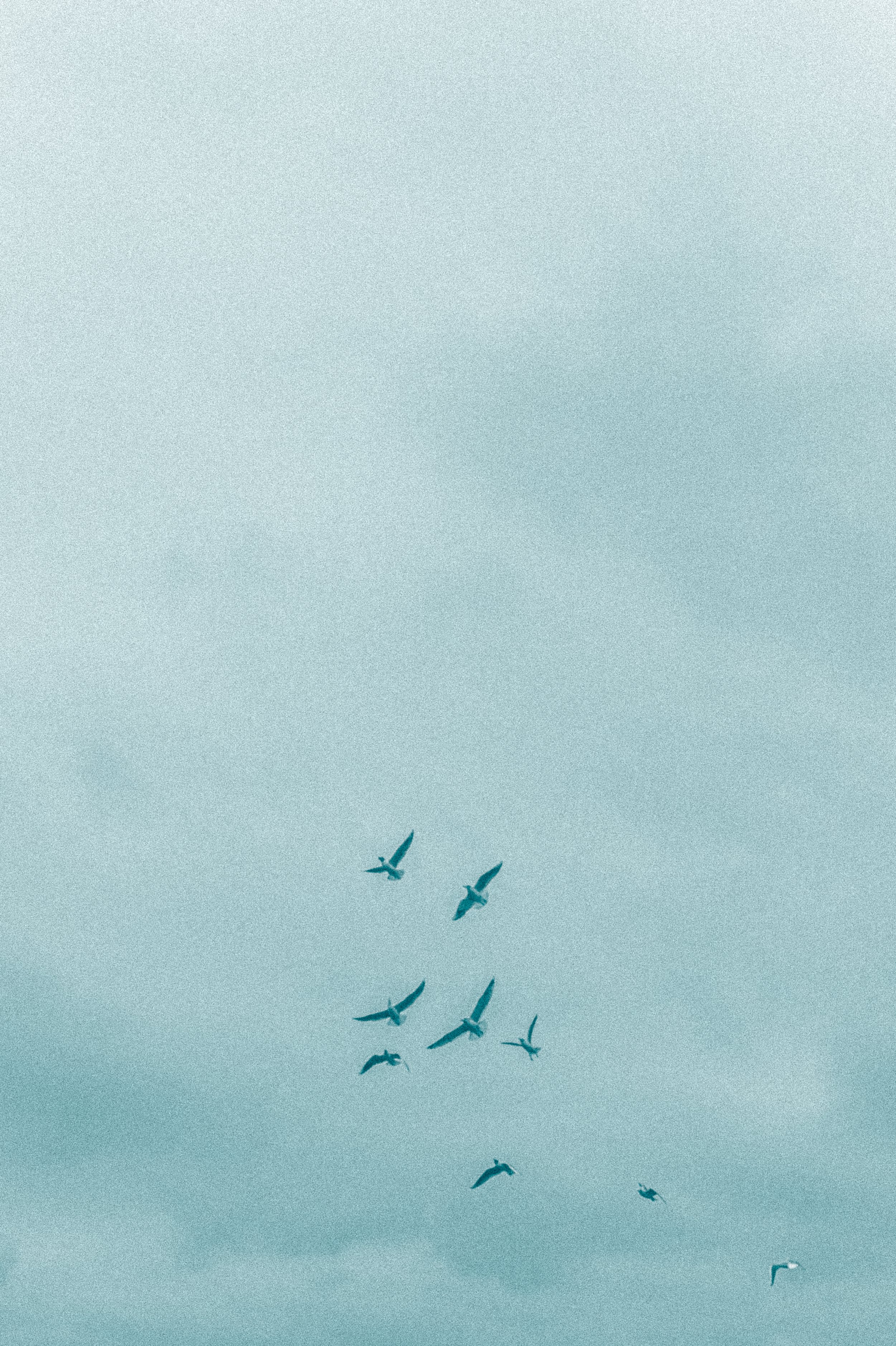 untitled-38.jpg
