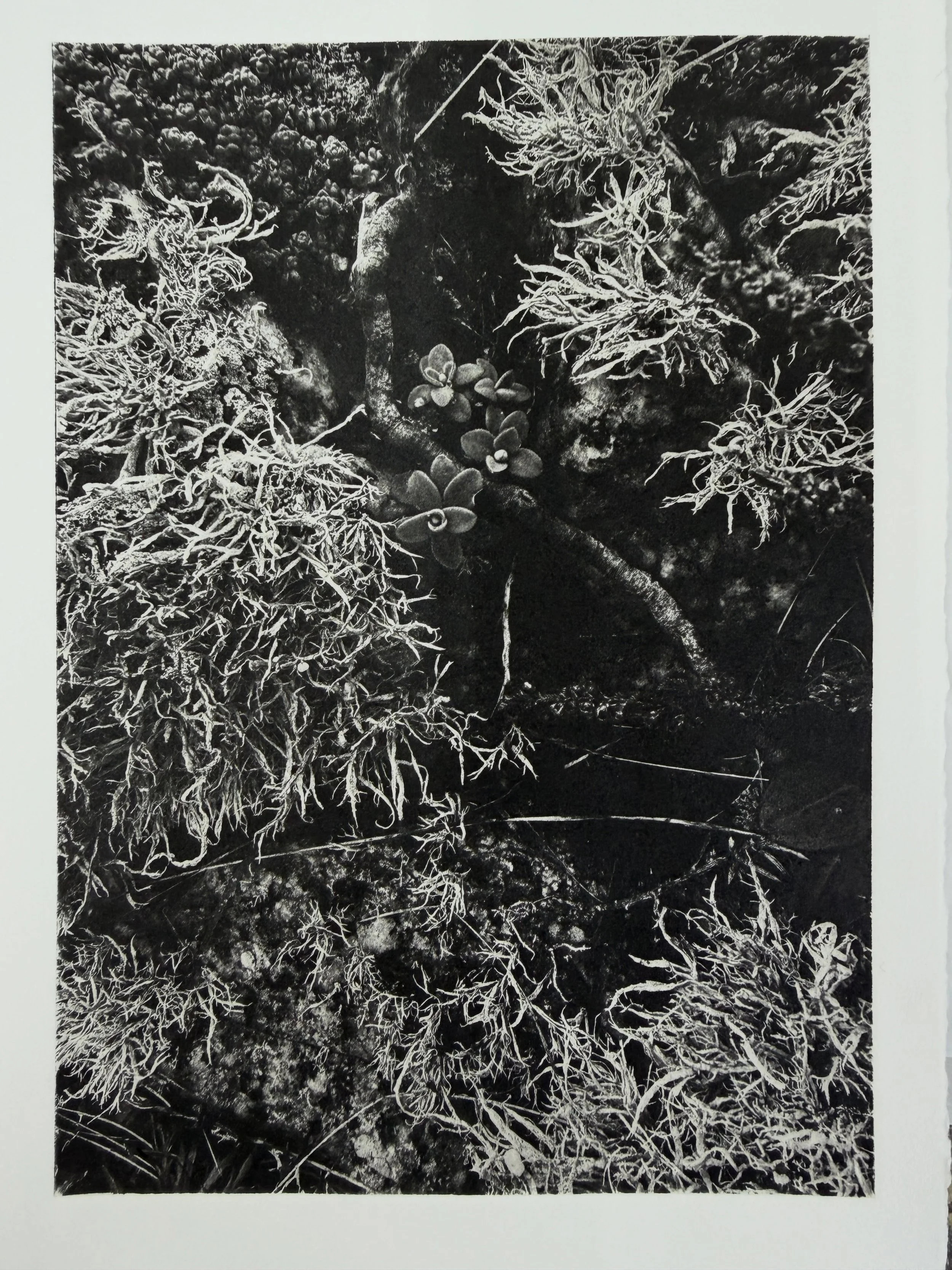 Print &amp; ghost print. Super happy with these results from @eastlondonprintmakers new exposure unit and film positives from @sonsolesprintstudio - the beginnings of new work for a collaborative book with @katherinerose360 and @artfledgling reflecti