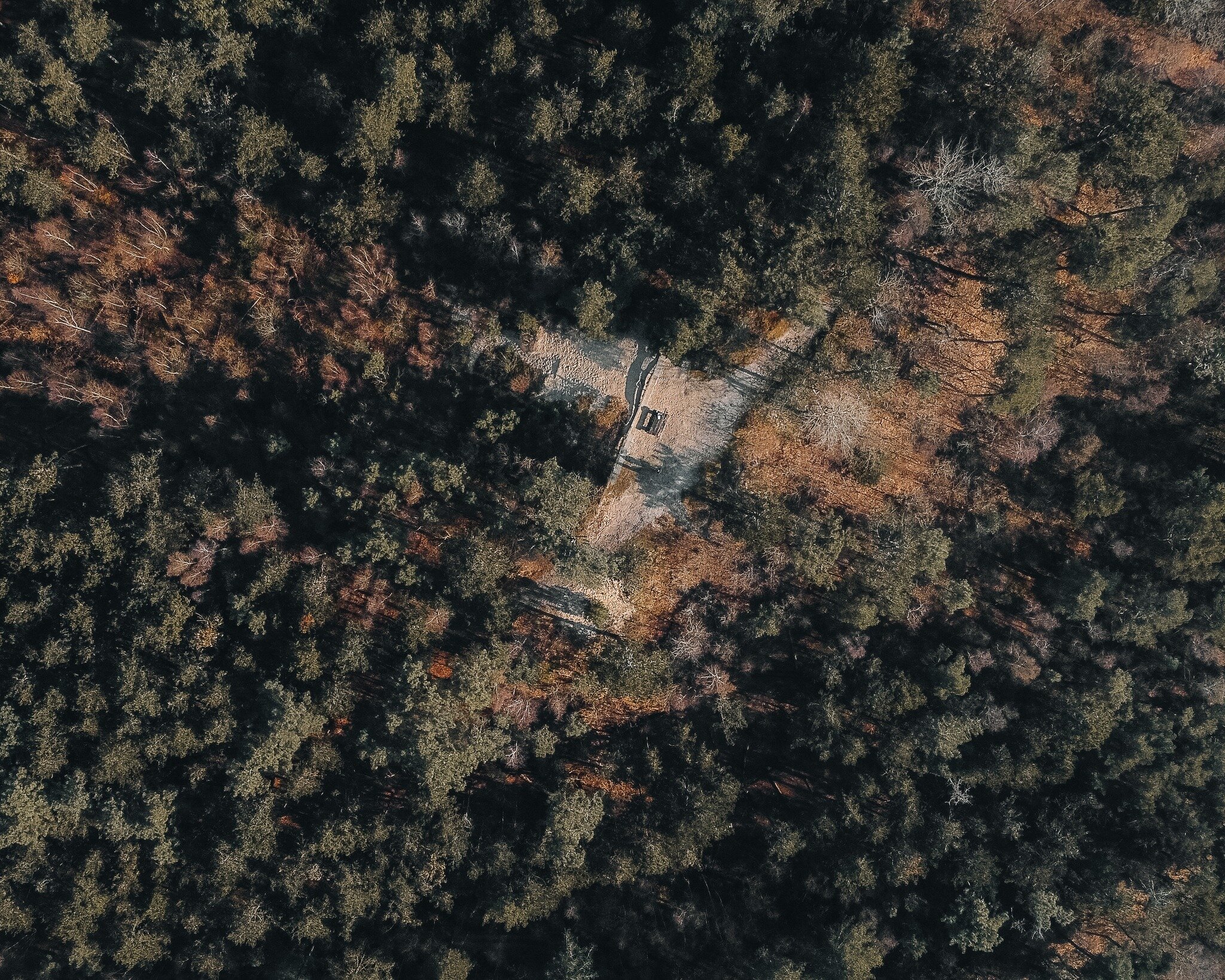 Het perspectief van een vogel. Dit blijft toch mooi, vind je ook niet? Technologie die het mogelijk maakt om vanuit deze hoek naar landschappen en de wereld te kijken! 💚 📸

#vogelperspectief #beeldmaker #landscapes #landschapsfoto #cloudviews #dron
