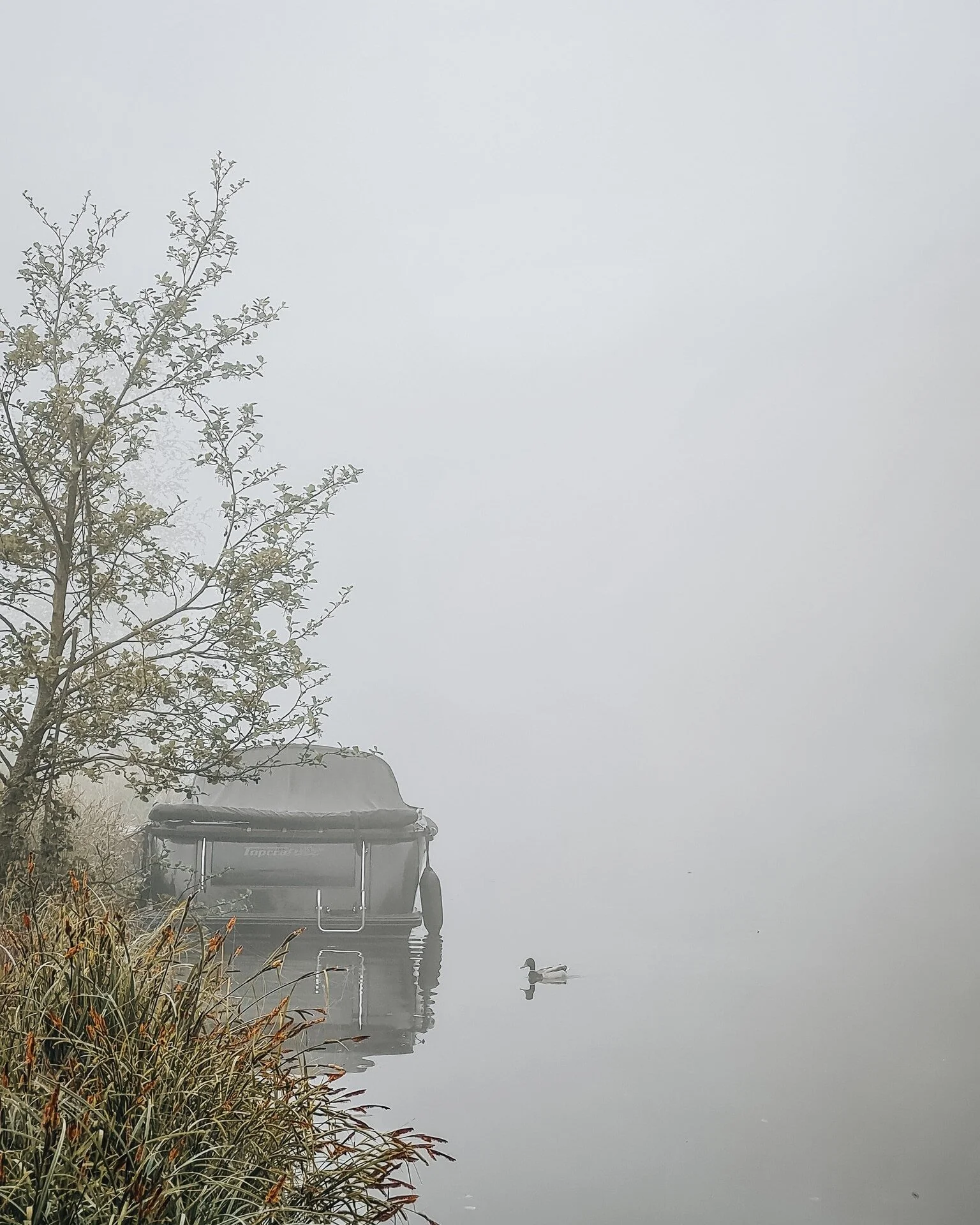 Mist in de ochtend.. (+ praktische tips)

Deze foto deelde ik gisteren in mijn stories. Ik kreeg er meerdere reacties op via DM. Dat is altijd leuk. Bedankt!🙏

Mist. Een bijzonder en prachtig natuurverschijnsel. De overkant van het water was vanaf d