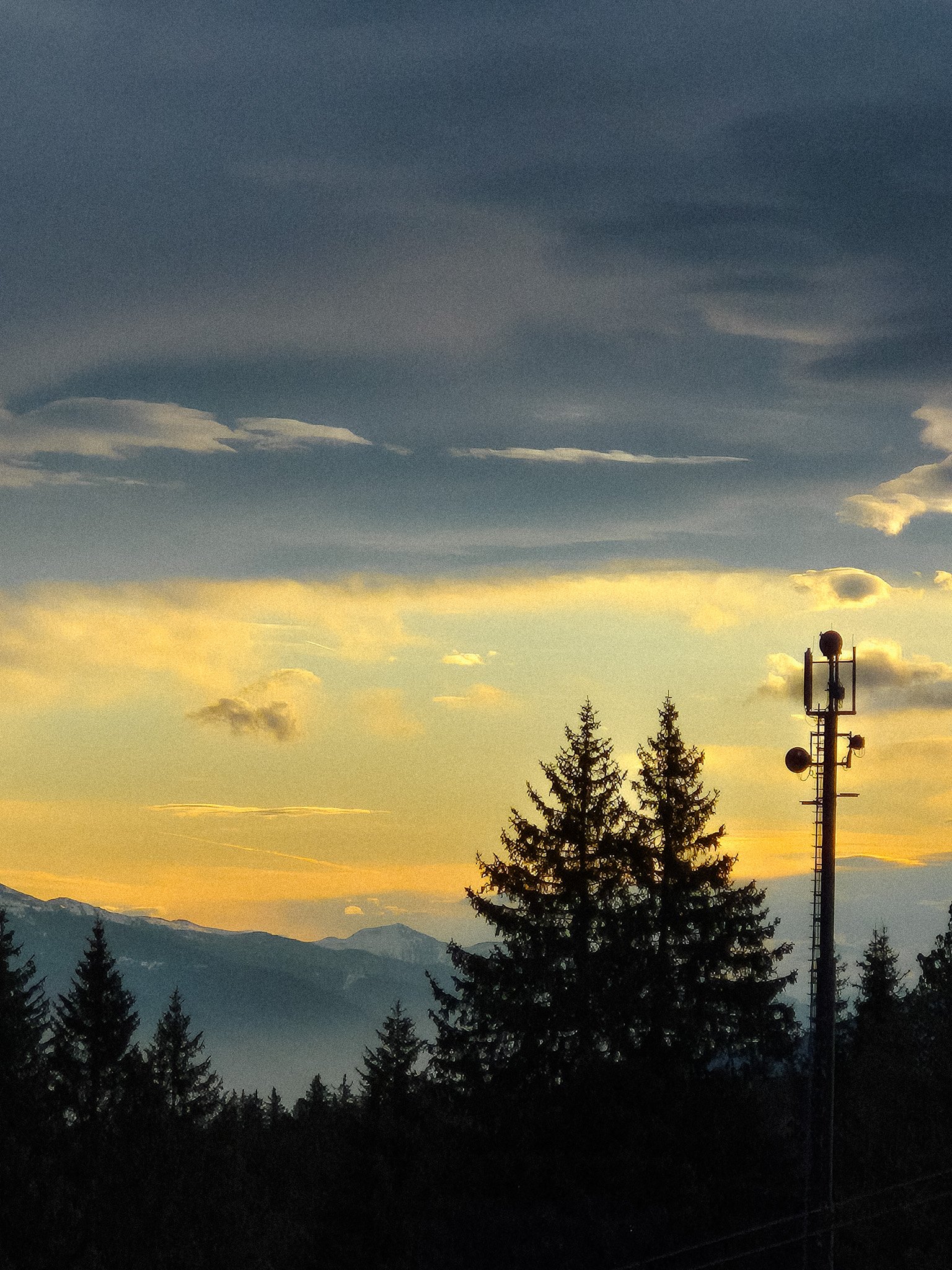 20250312_065622.jpg