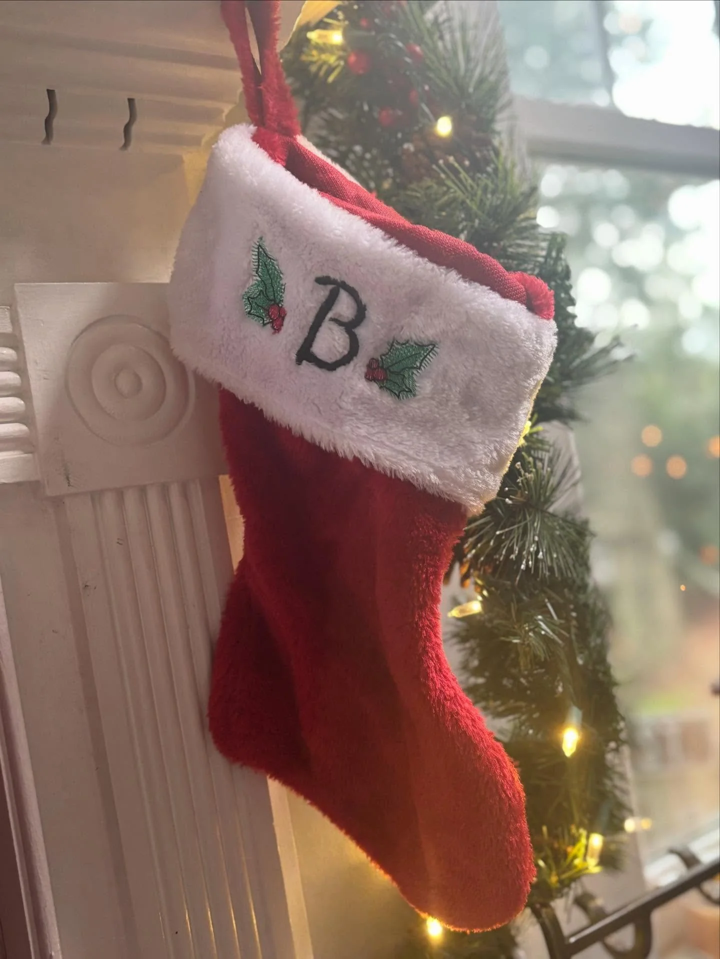 We had just hung our stockings and finished decorating the house, ready to settle in for all the &ldquo;holly jollyness&rdquo; of the season. That same night, our beloved family dog, Belle, struggled to recover from a seizure. It wasn&rsquo;t new for