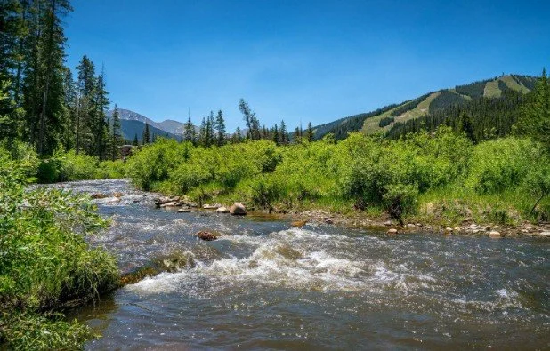 river.jpg