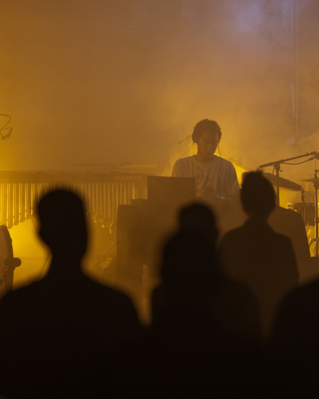 Elektronisk liveopptreden under Ultima x Trekanten, med kunstner i varmt gult scenelys og publikum i silhuett.