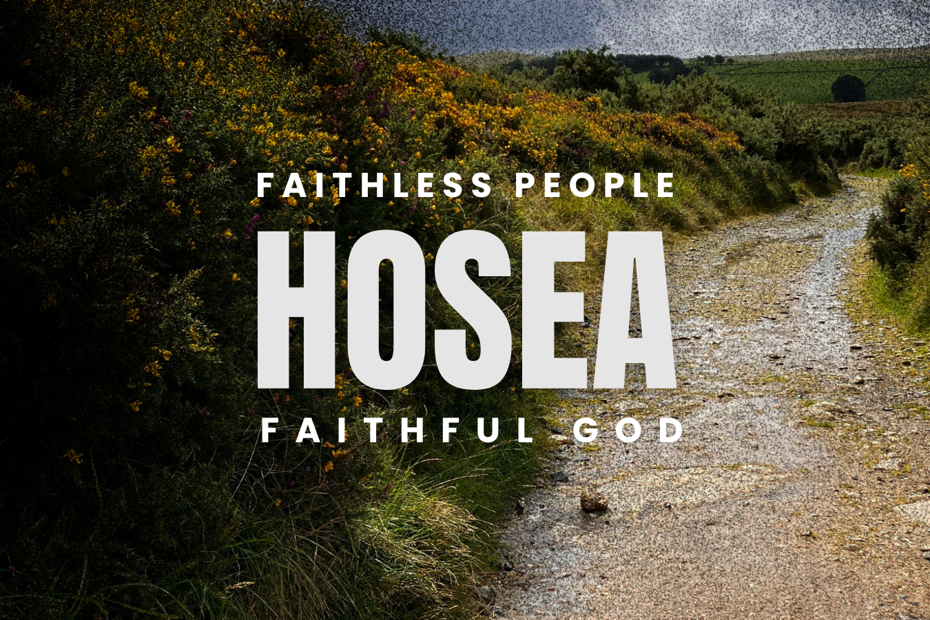 Hosea Sermon Series Image