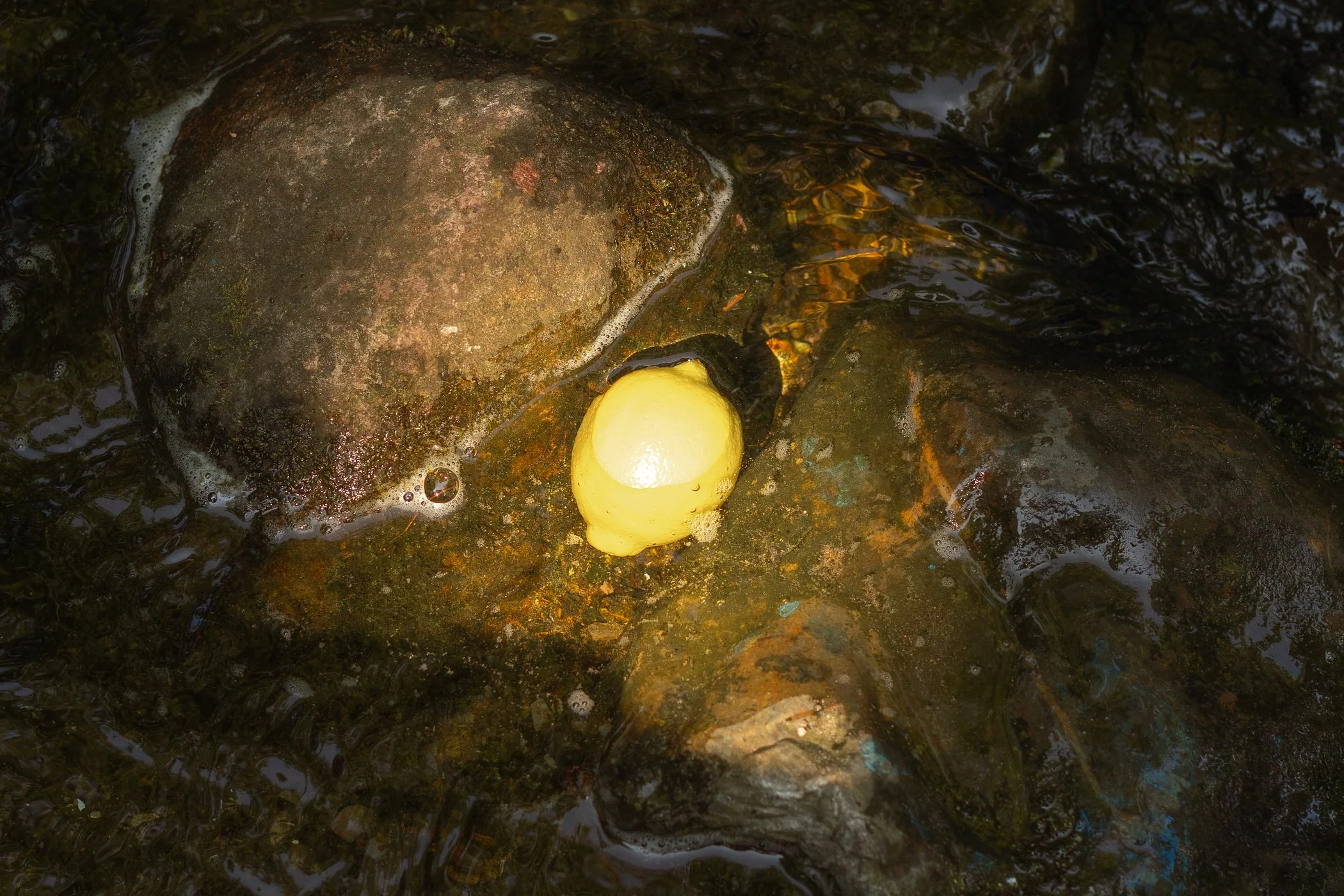 Do you eat when you're not hungry?