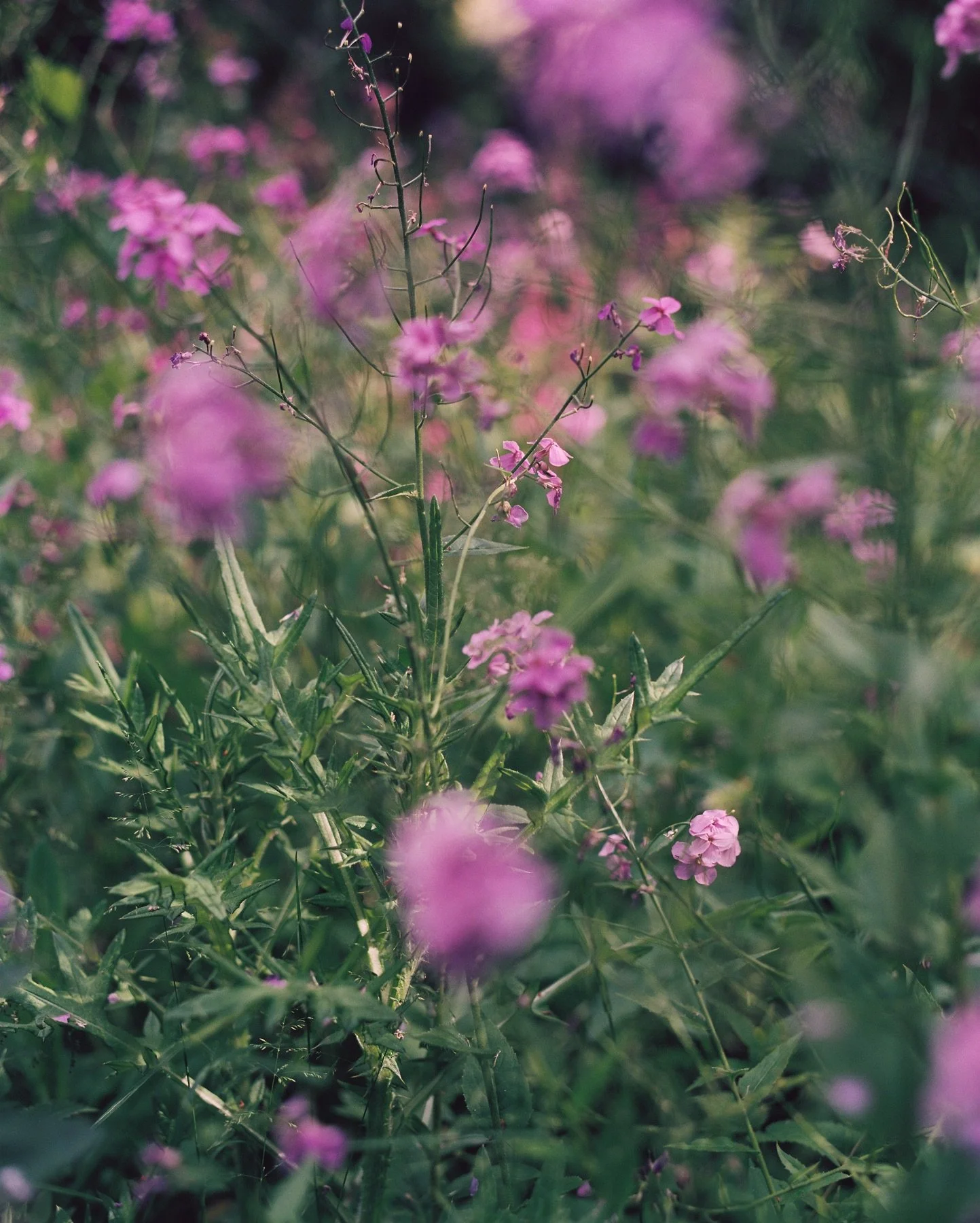 _000026-bew.jpg