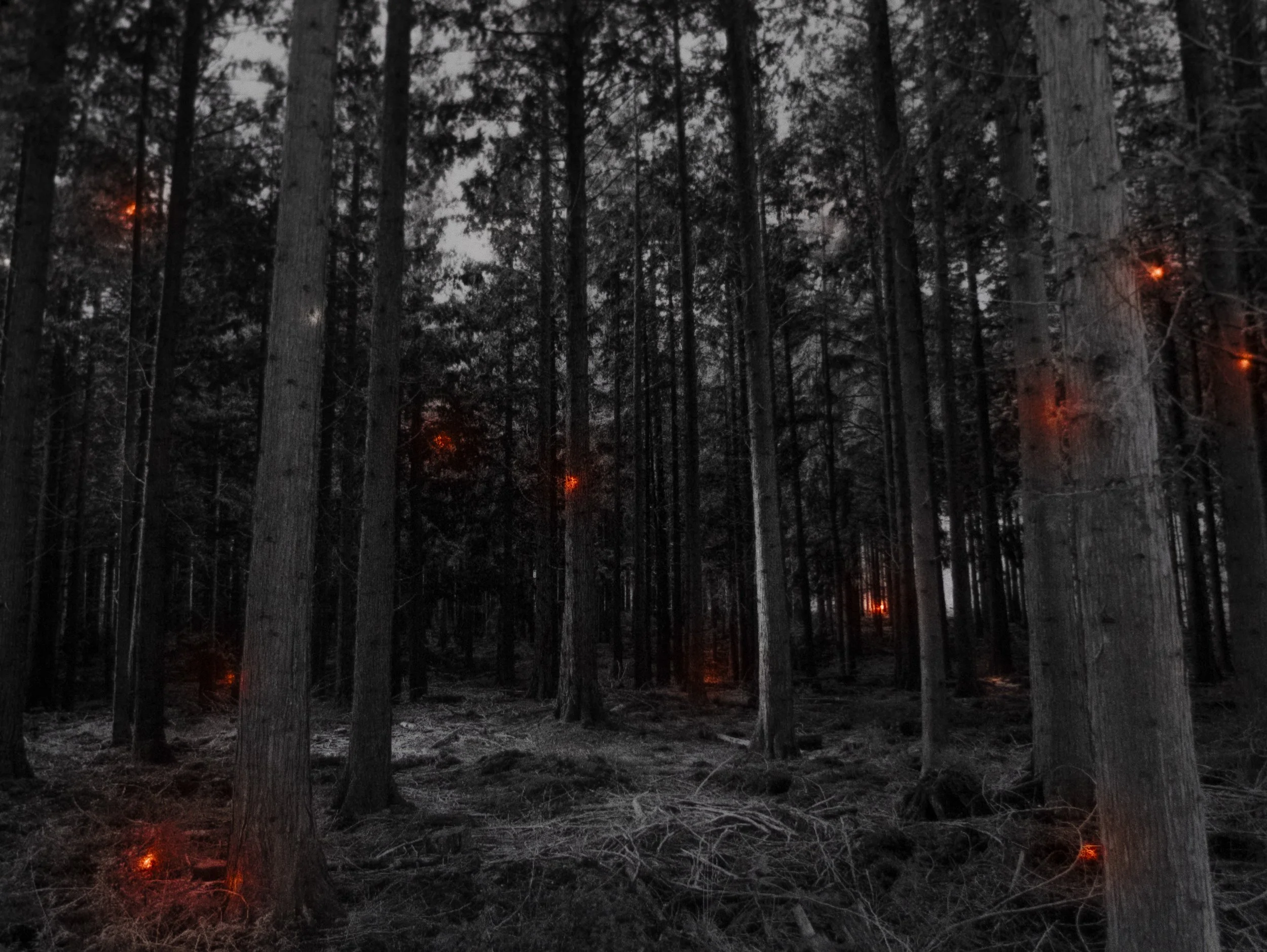 20 Mar – 9 May 2026