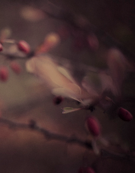 28 november - 24 december 2025