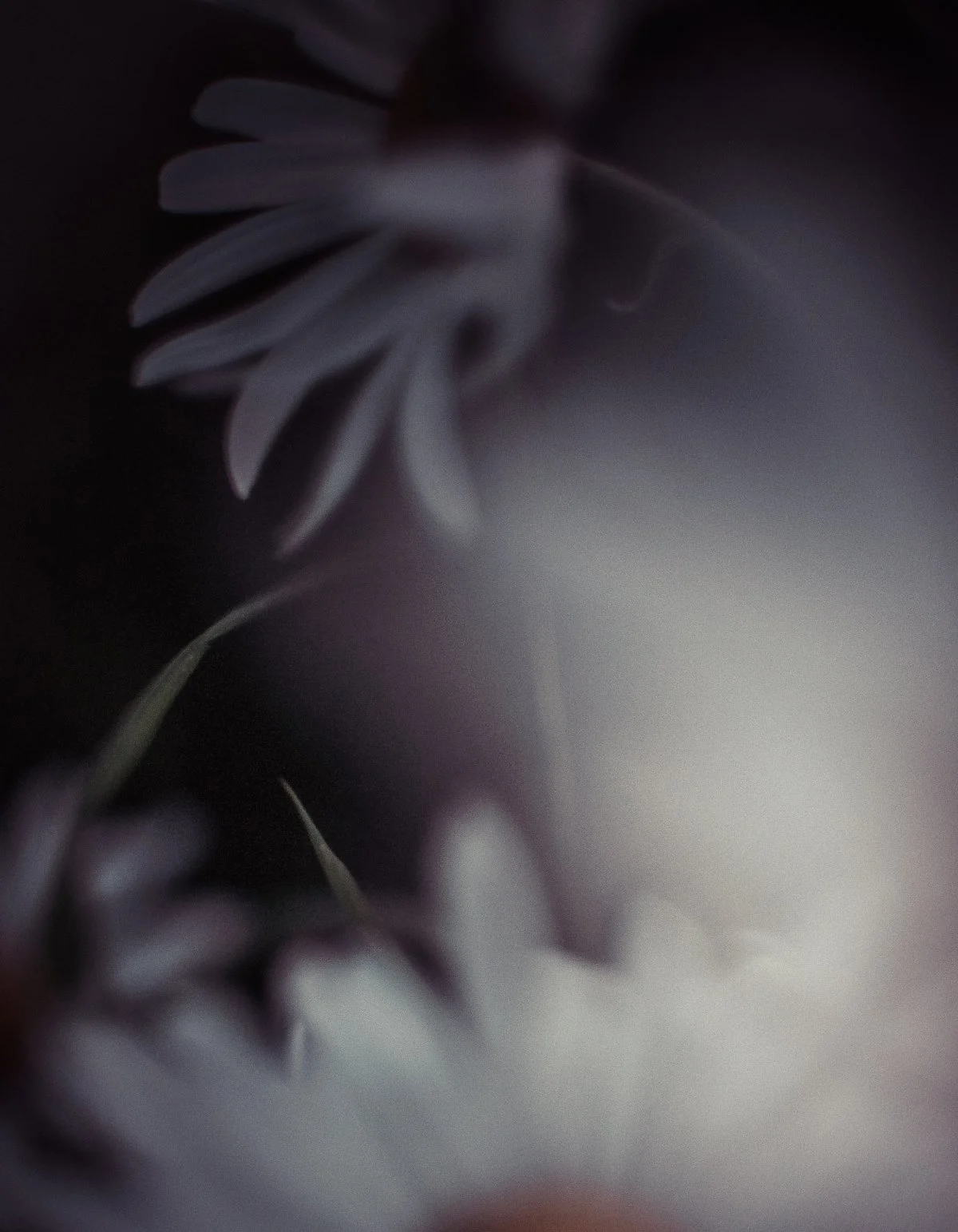 Deadline 2 november 2025