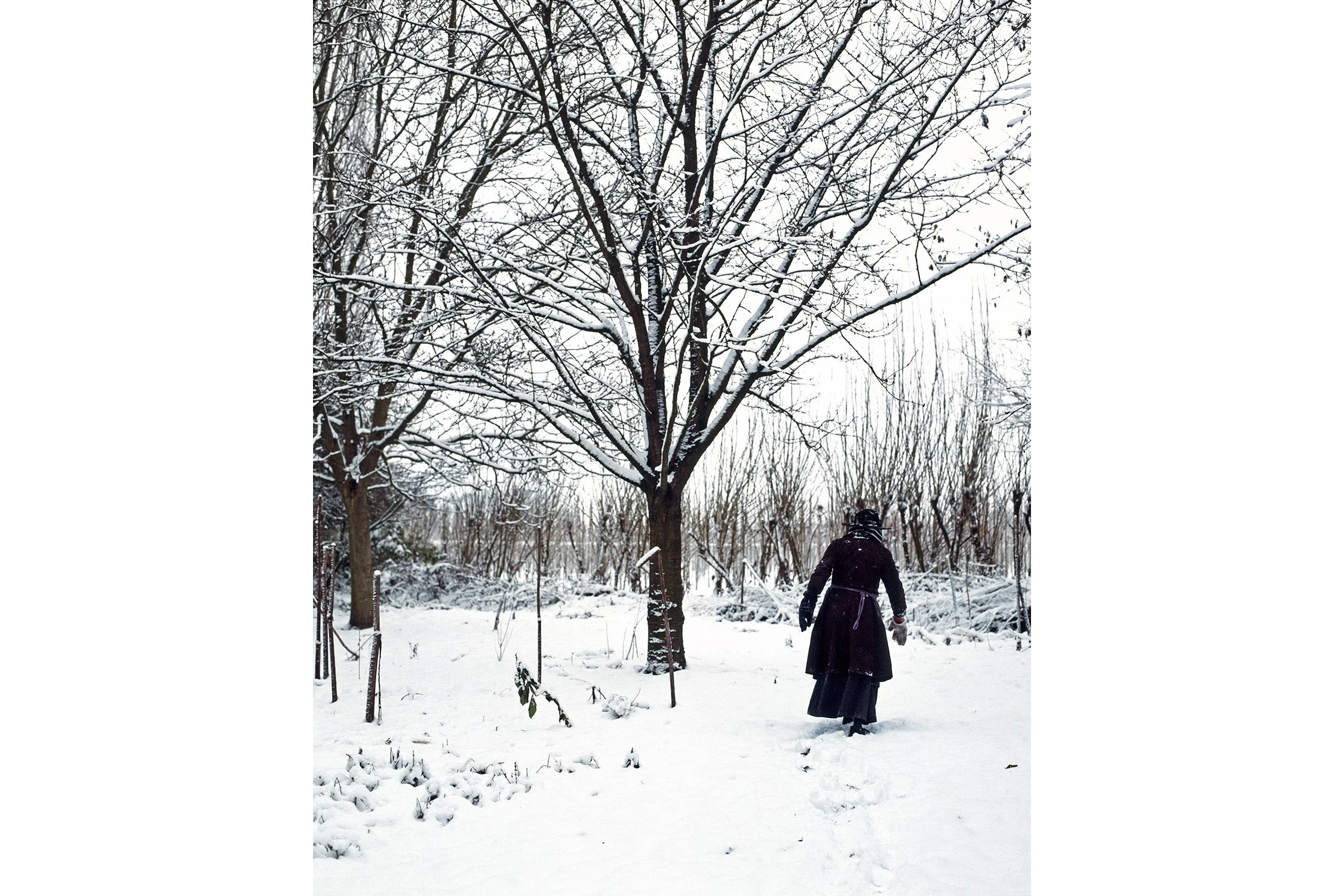 Hanne van der Woude_Winter_cover.jpg