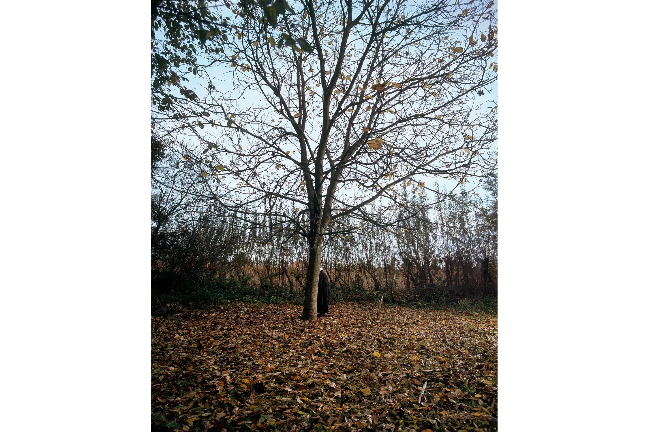 Hanne van der Woude_Herfst_cover.jpg