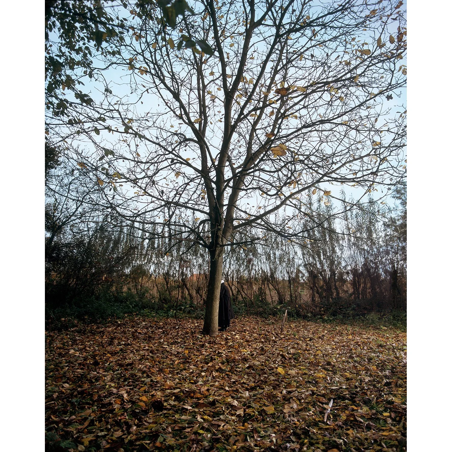Hanne van der Woude_Herfst.jpg