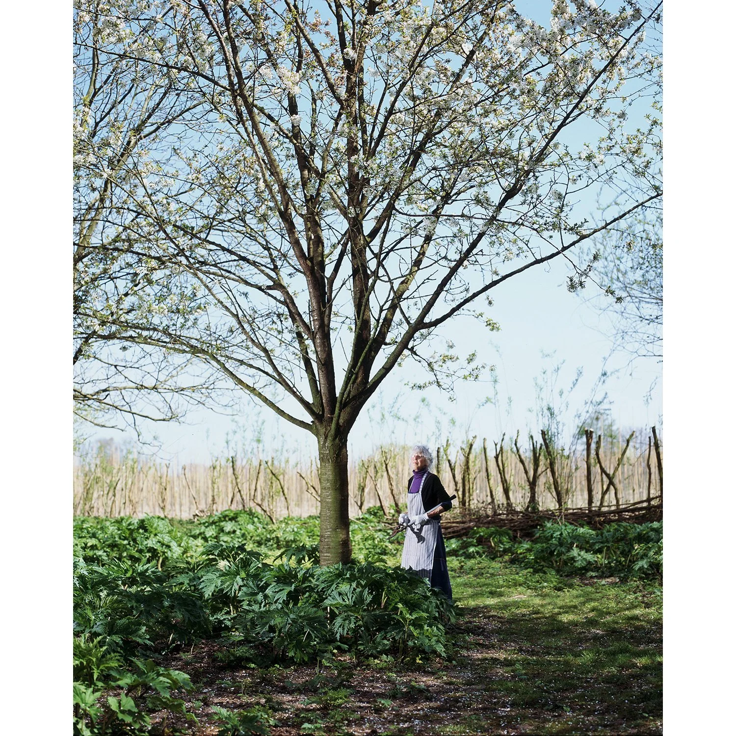Hanne van der Woude_Lente.jpg