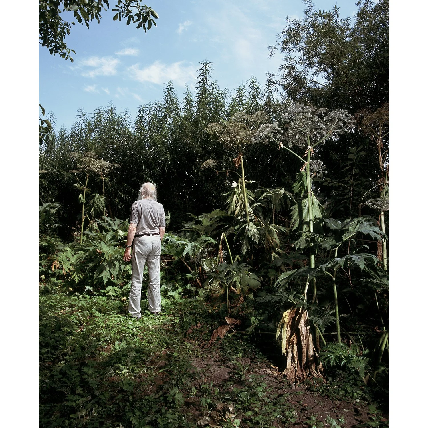 Hanne van der Woude_Ben.jpg