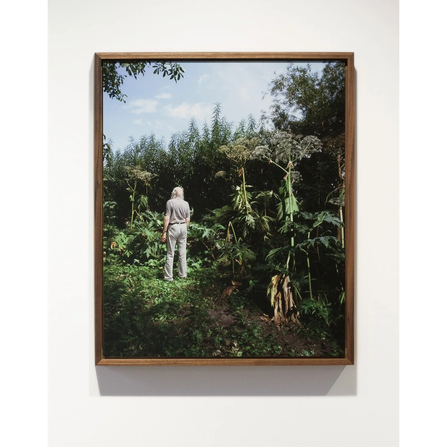 Hann van der Woudee_Ben_lijst.jpg