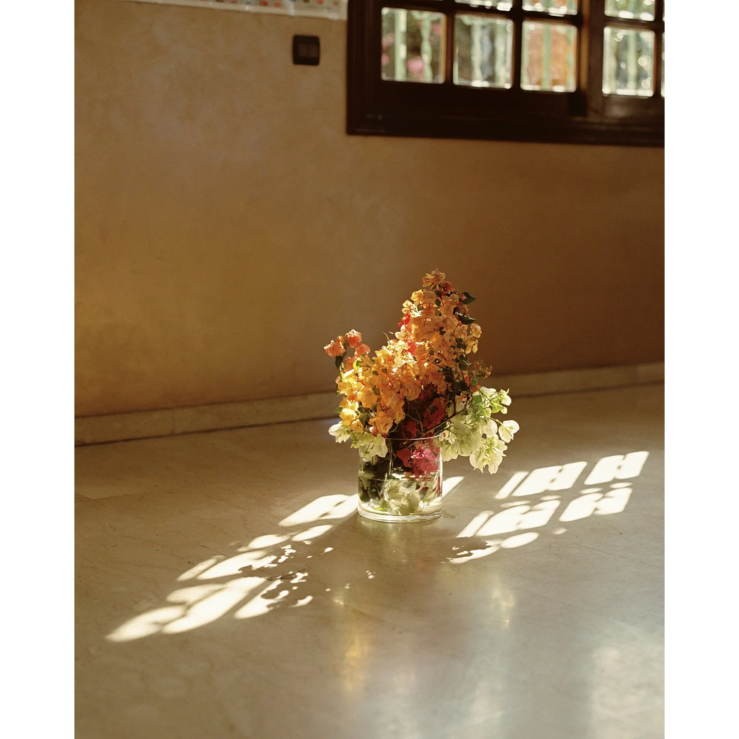Vase of Bouganvillea_02.jpg