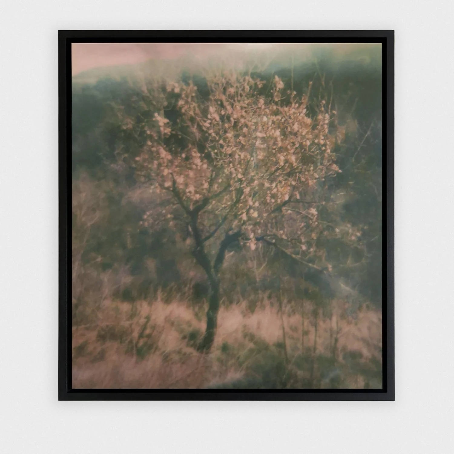 Gouden boom_lijst.jpg