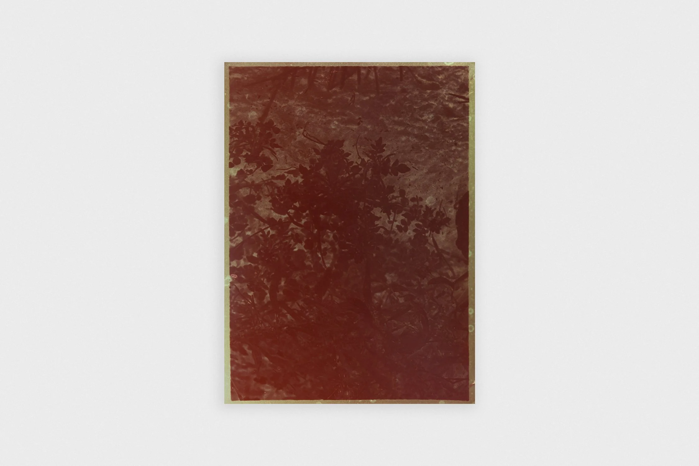 Esmee van Zeeventer_cover.jpg