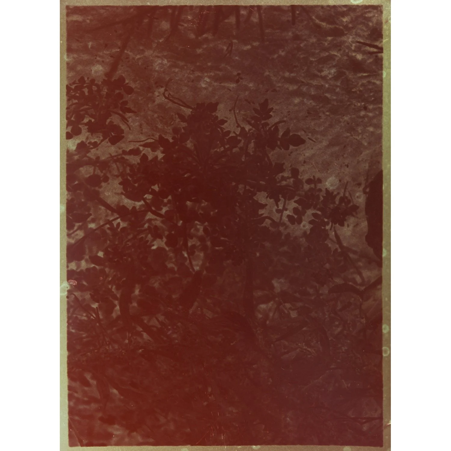 Esmee van Zeeventer_foto.jpg